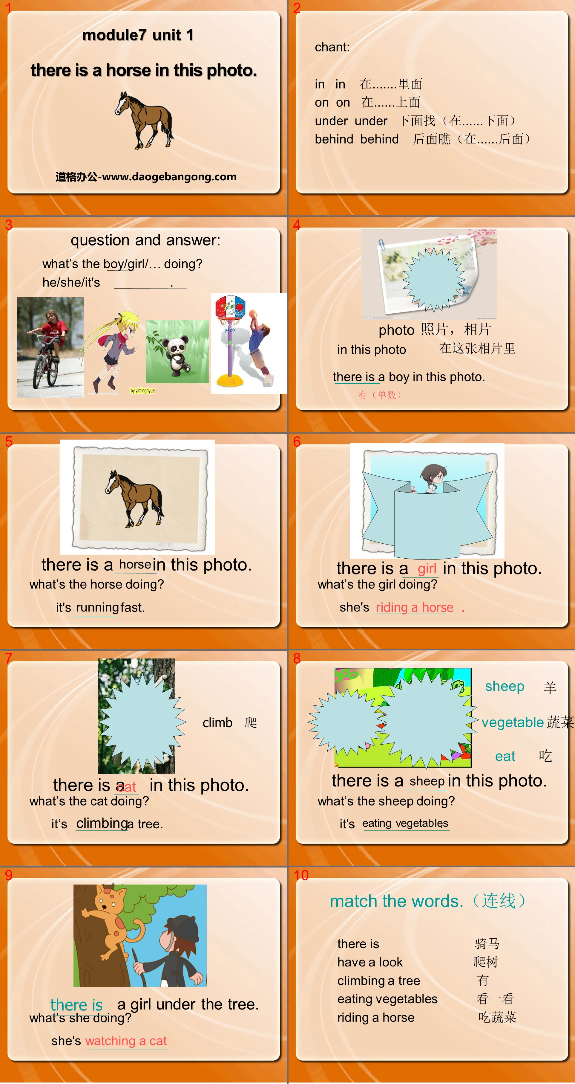 "There is a horse in this photo" PPT courseware 4