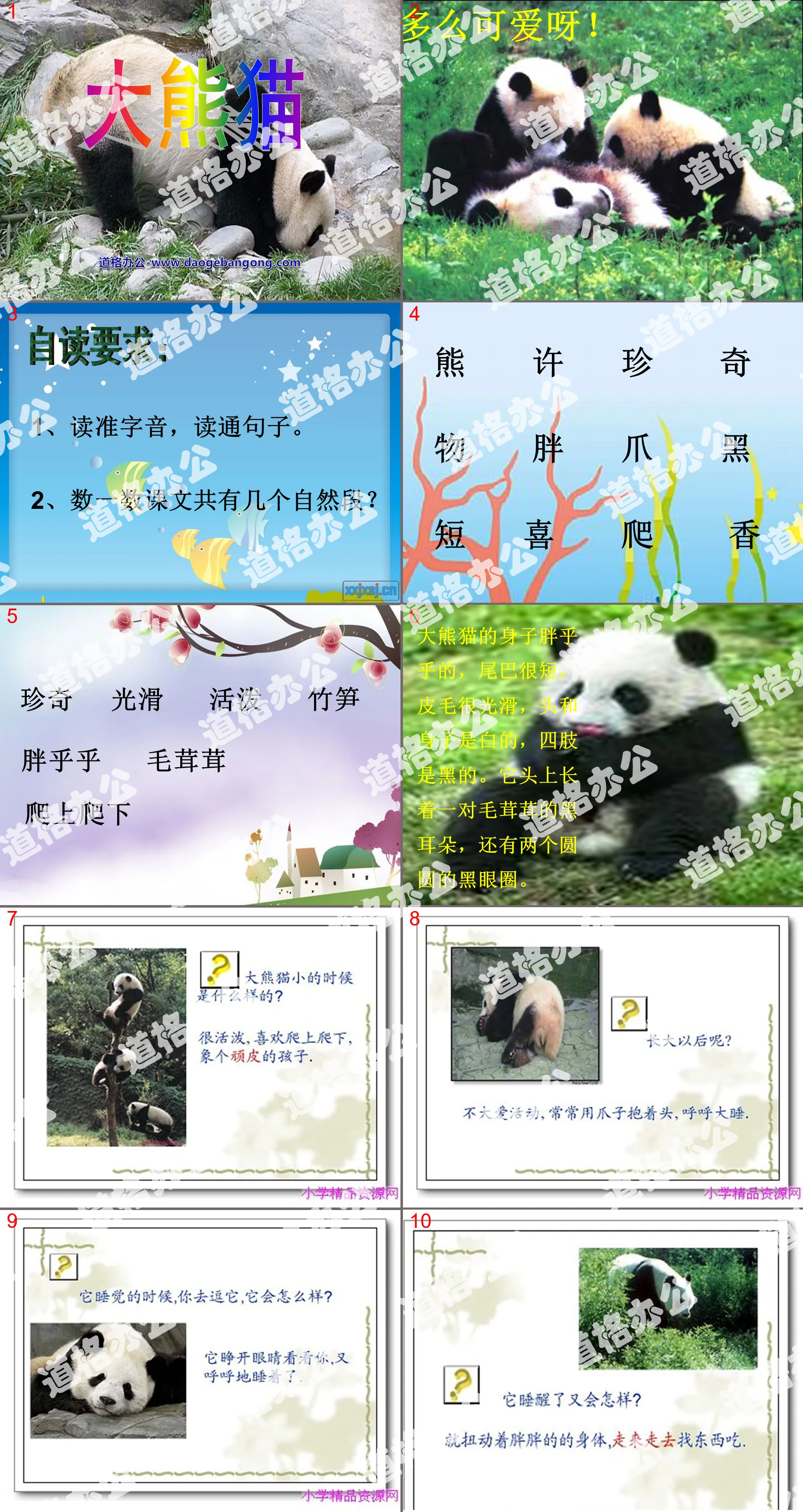 《大熊猫》PPT课件4
