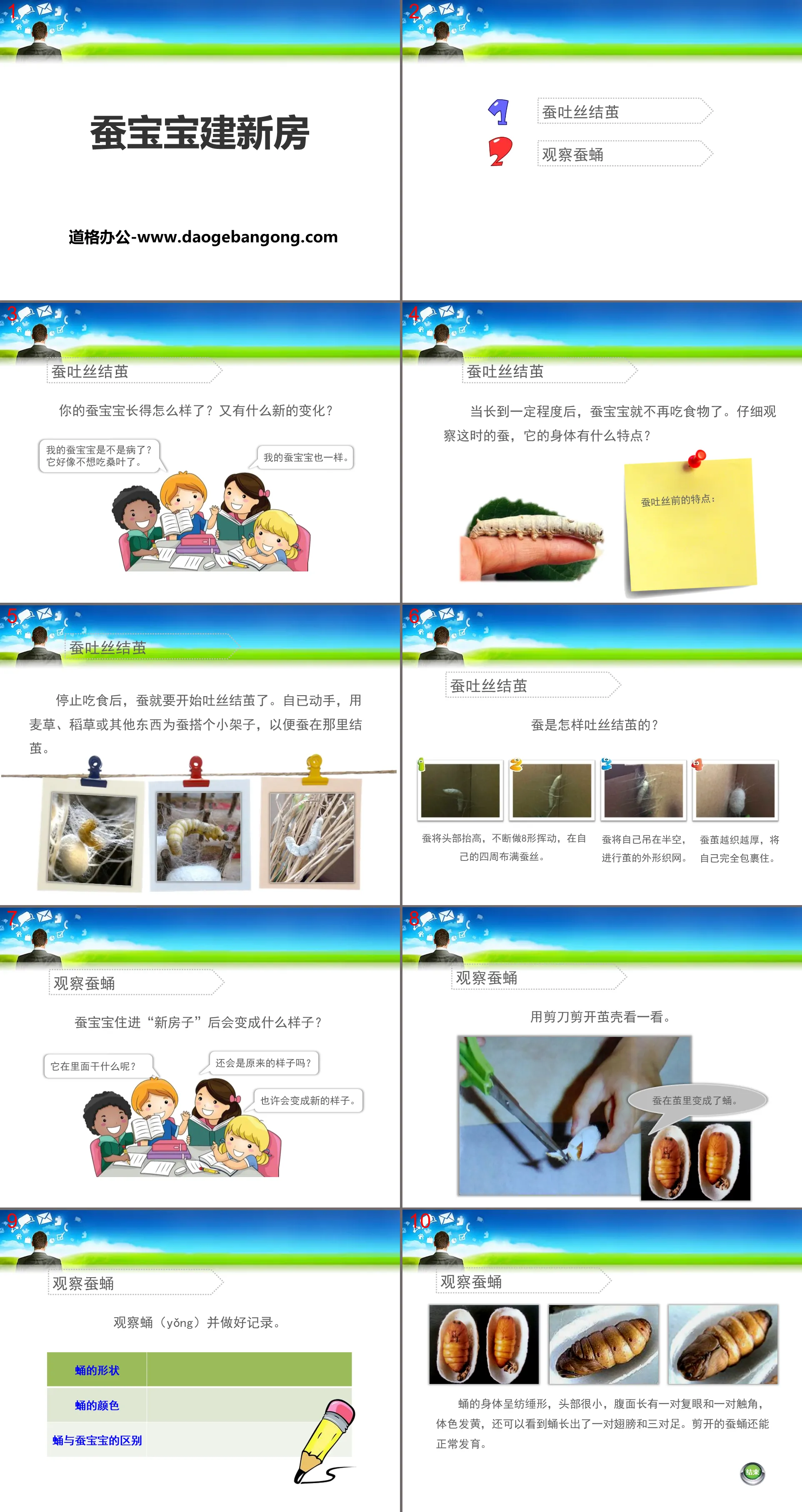 《蠶寶寶建新房》PPT課件