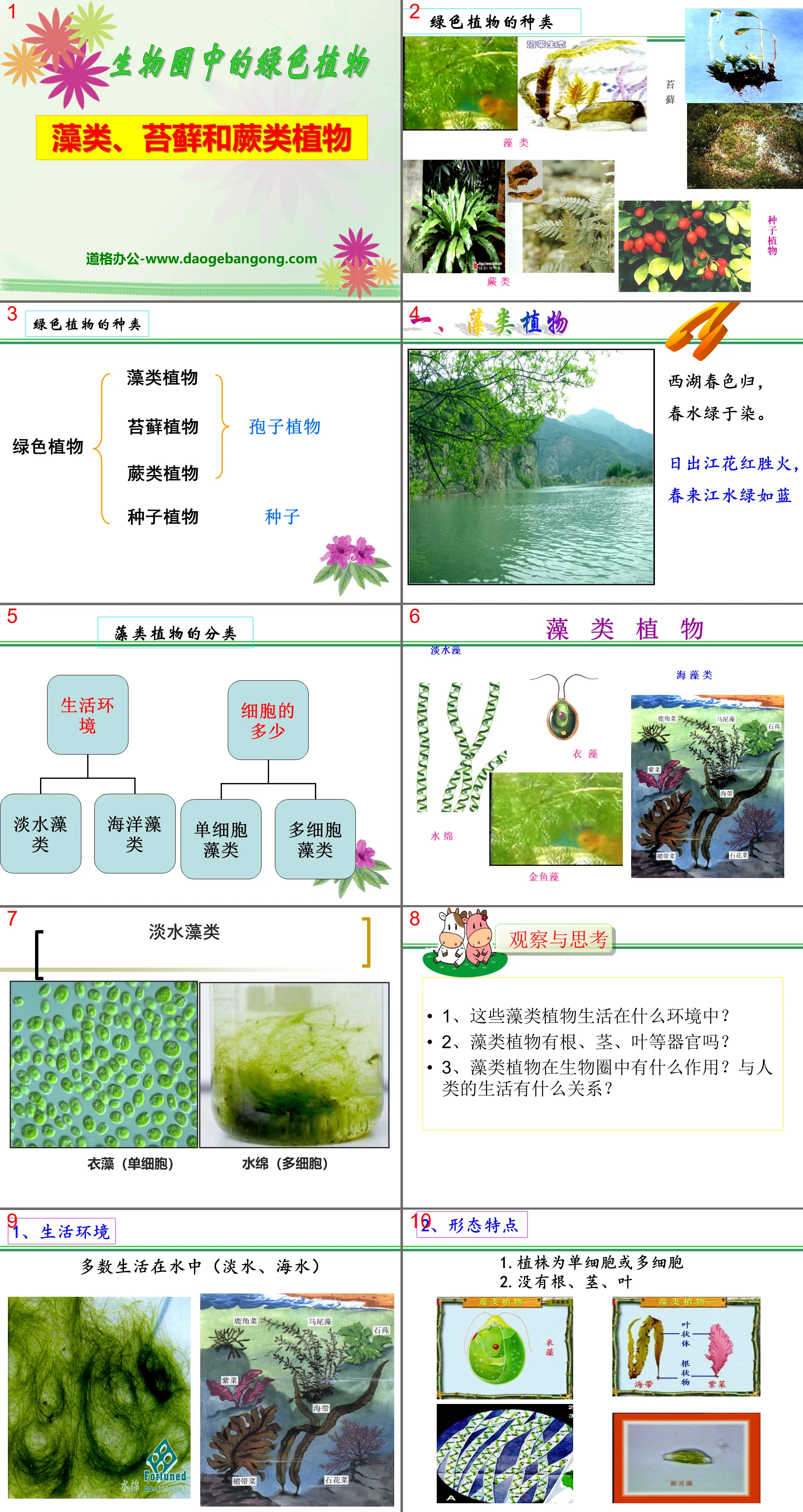 "Algae, Moss and Ferns" What are the green plants in the biosphere PPT courseware 5