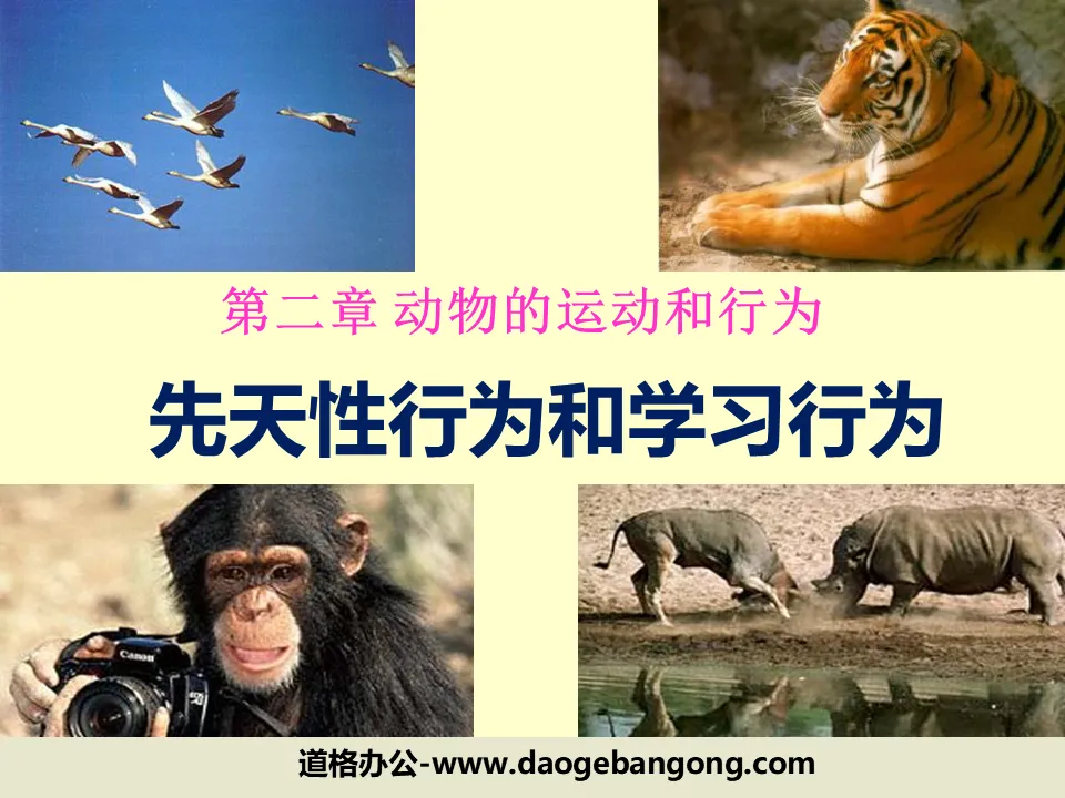 《先天性行為與學習行為》動物的運動與行為PPT課件6