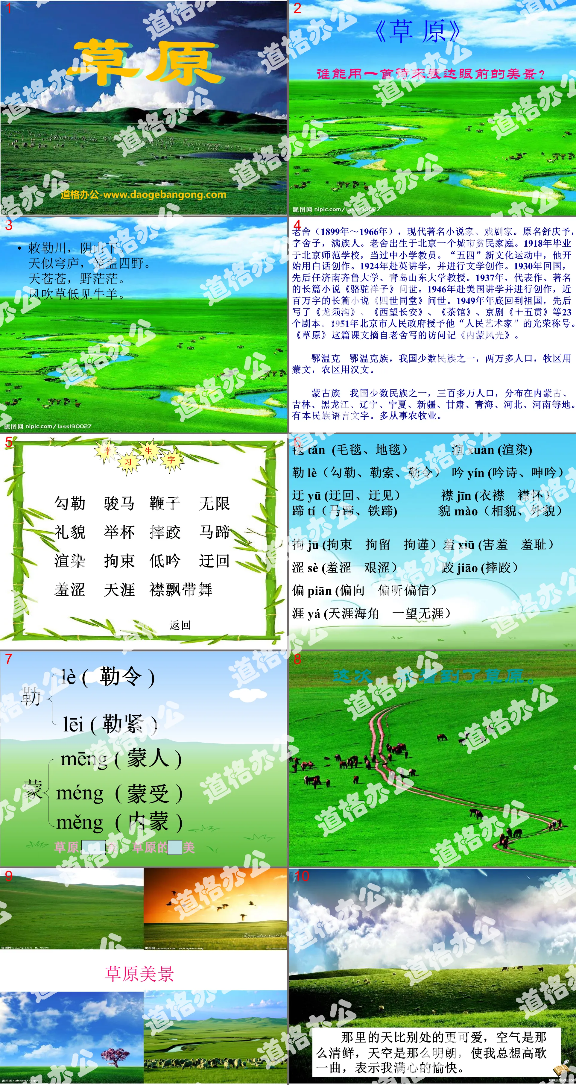 "Grassland" PPT courseware 12