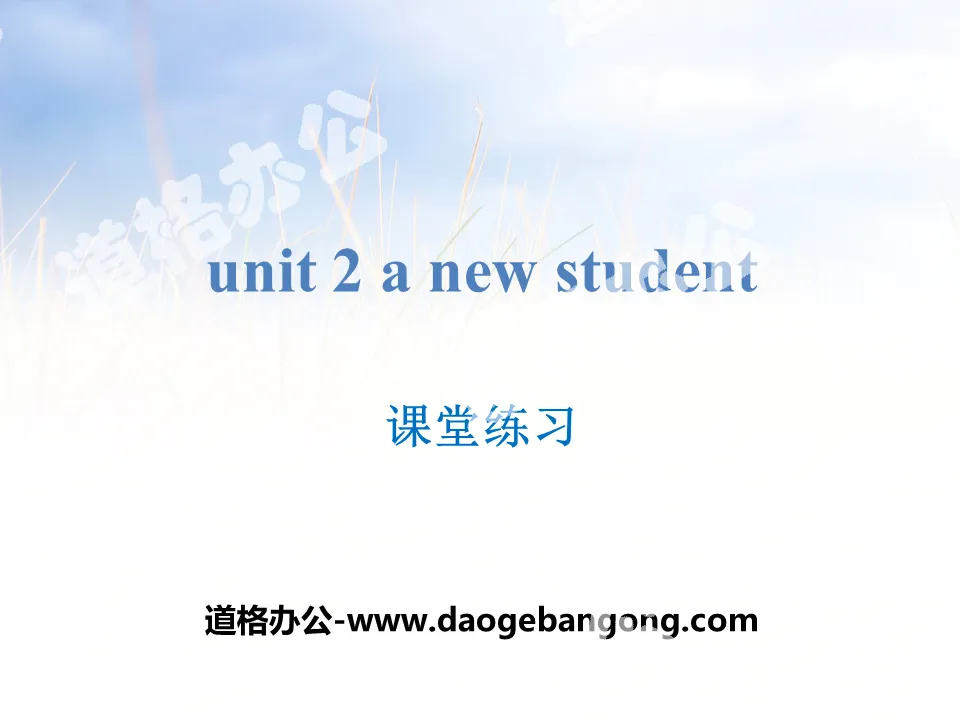 《A new student》課堂練習PPT
