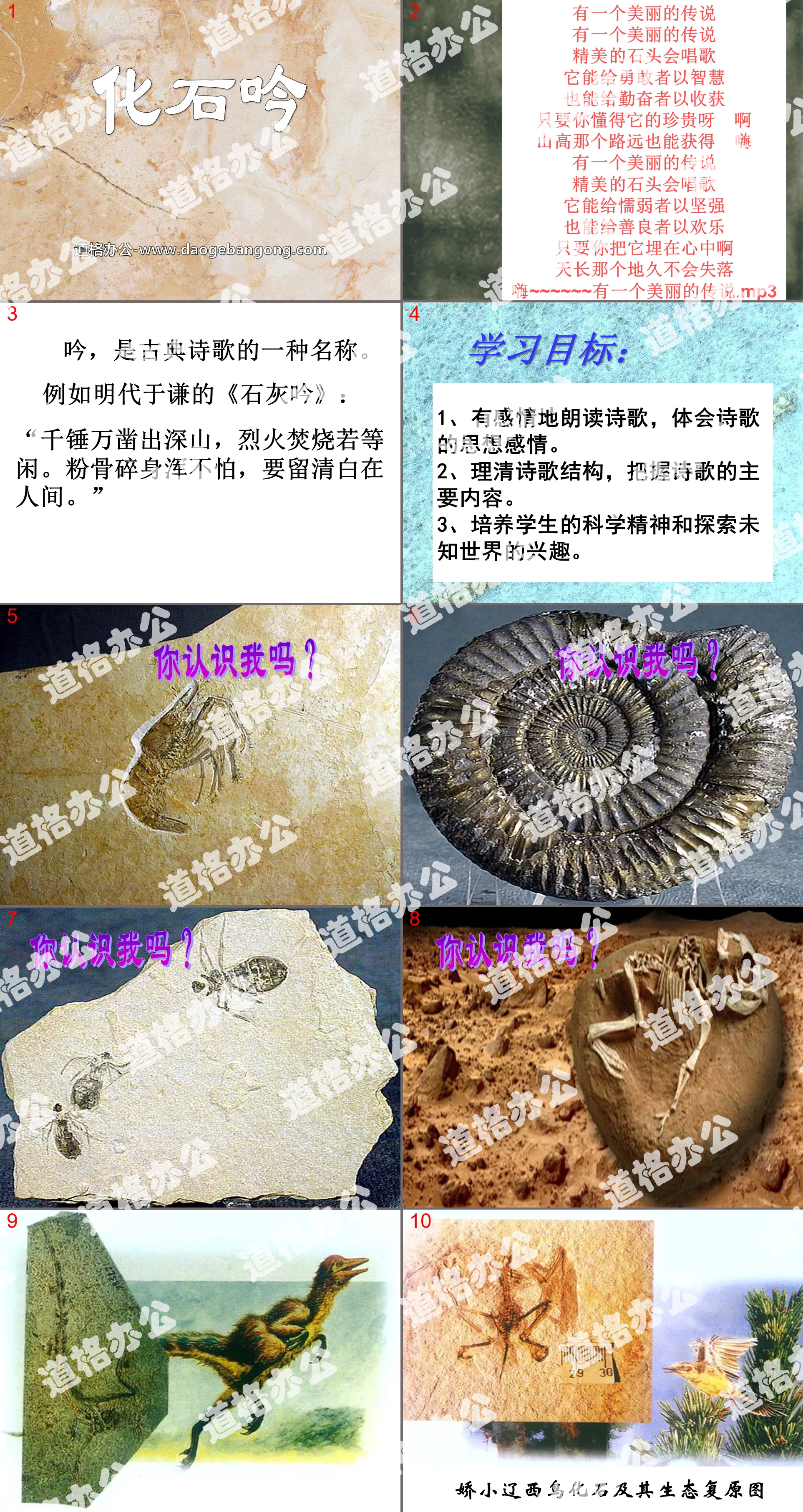 "Fossil Song" PPT courseware 7