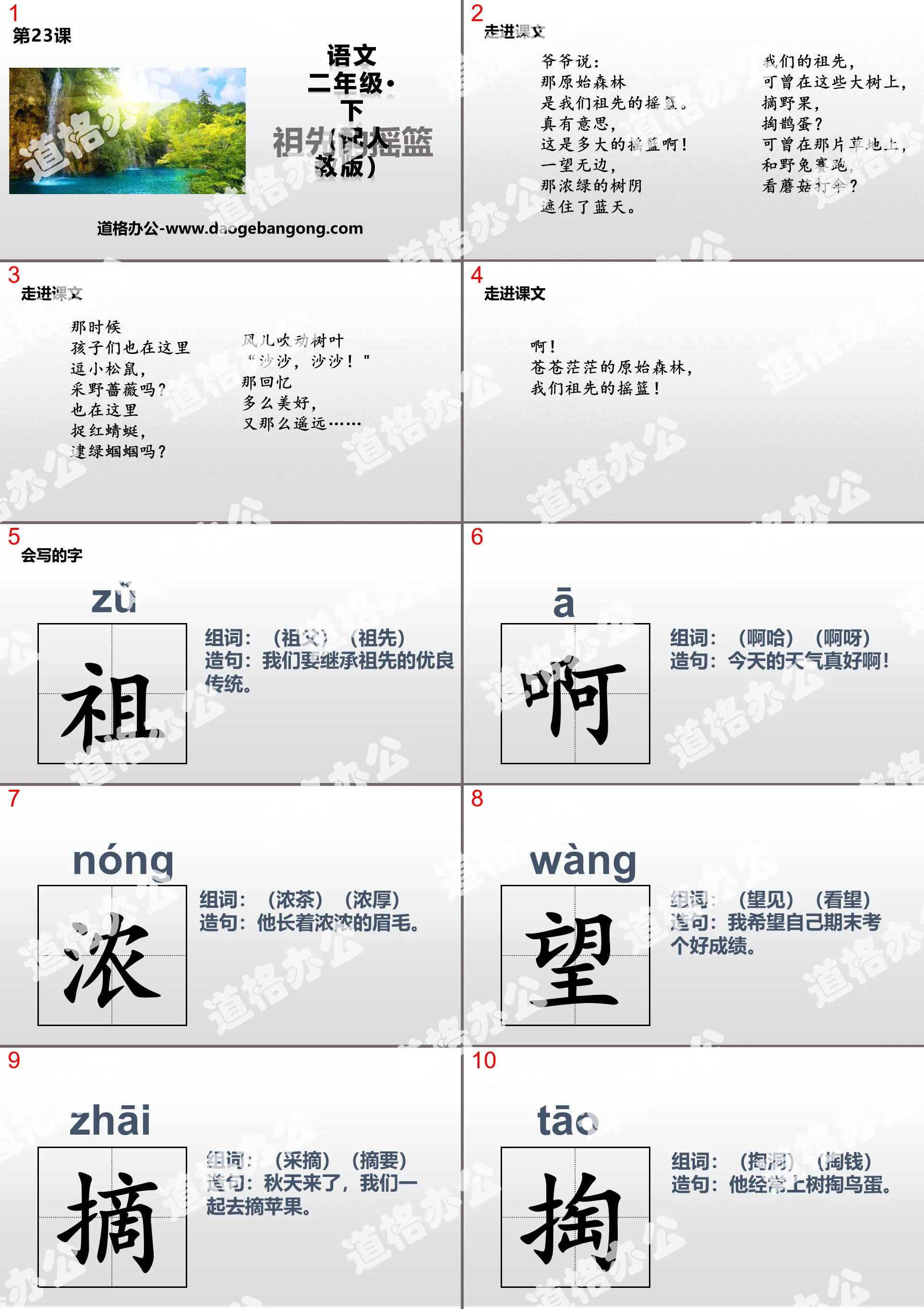 《祖先的搖籃》PPT免費下載