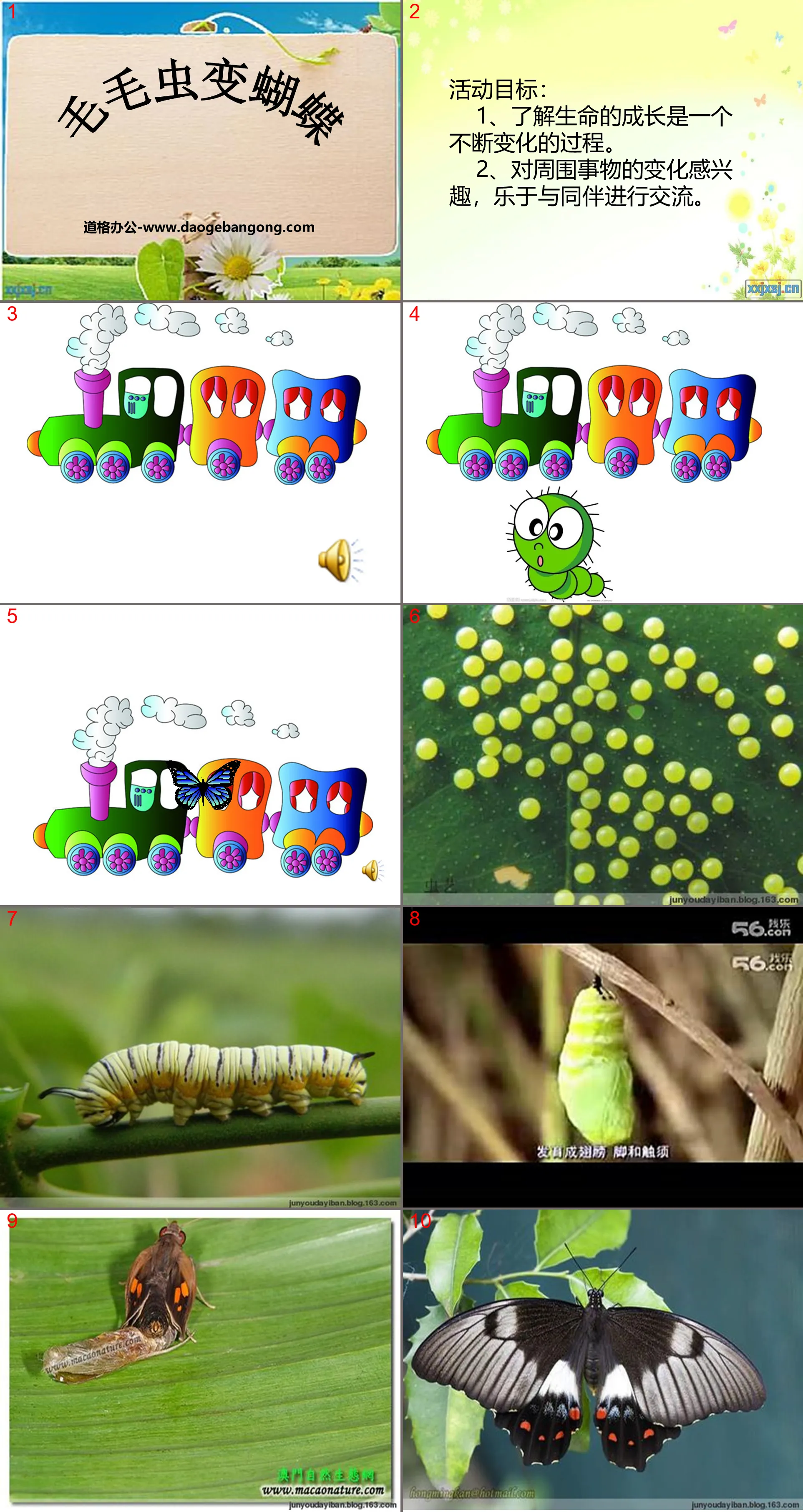 "Caterpillar Transforms into Butterfly" PPT courseware