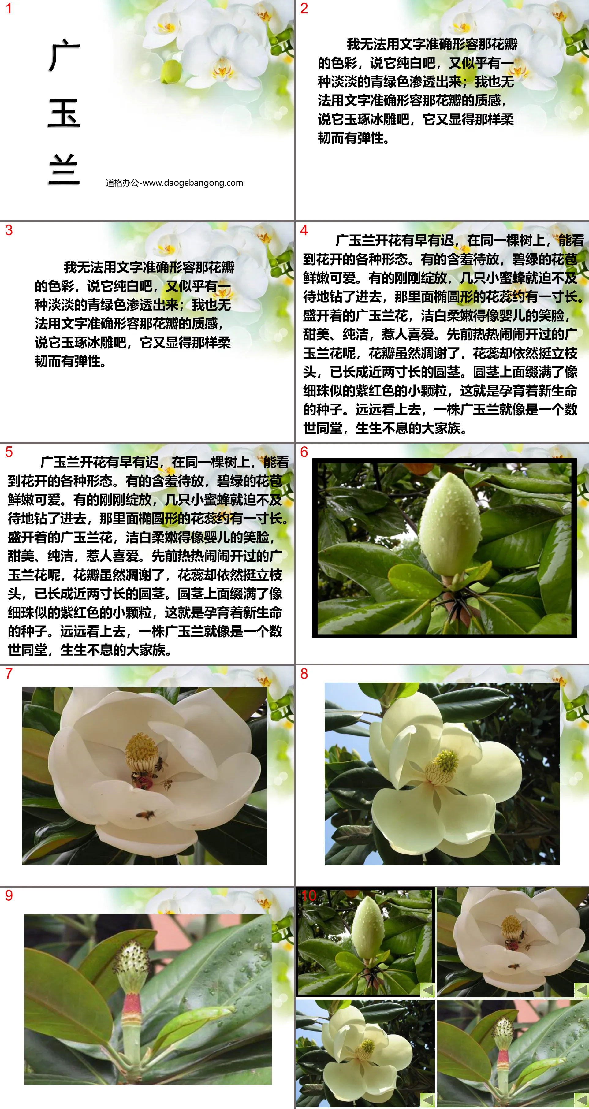 Cours PPT « Magnolia Guang » 4