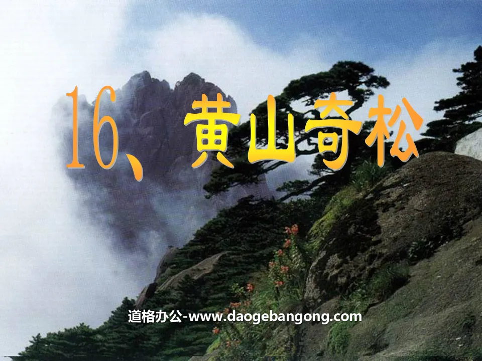 "Huangshan Wonderful Pines" PPT Courseware 4