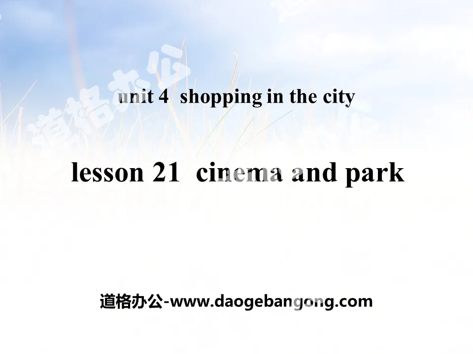 《Cinema and Park》Shopping in the City PPT教学课件
