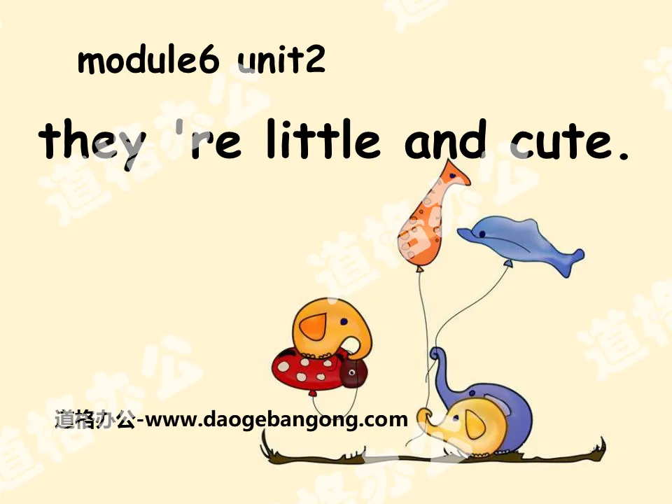 "They’re little and cute" PPT courseware