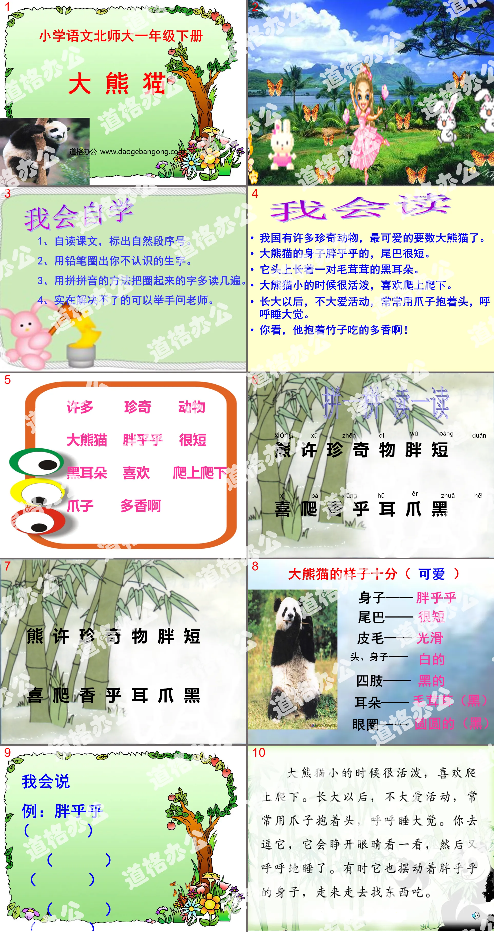 《大熊猫》PPT课件2
