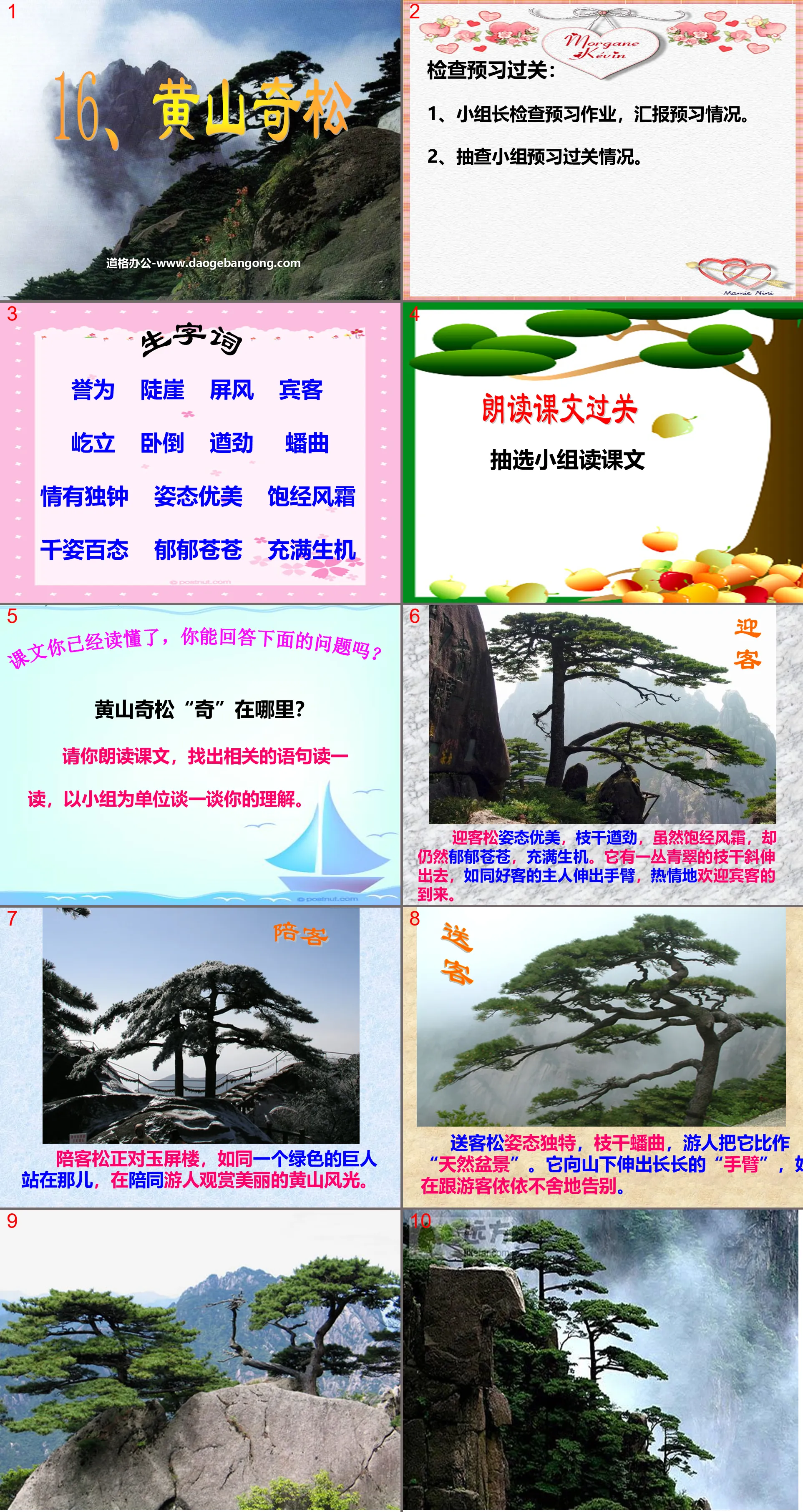 "Huangshan Wonderful Pines" PPT Courseware 4