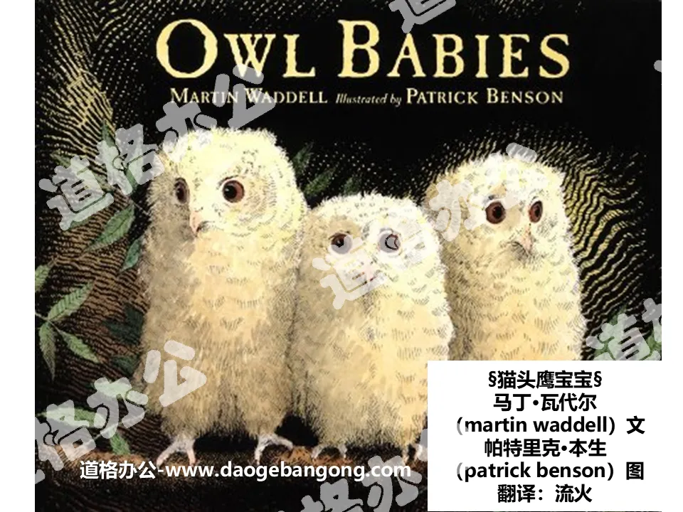 "Baby Owl" picture book story PPT