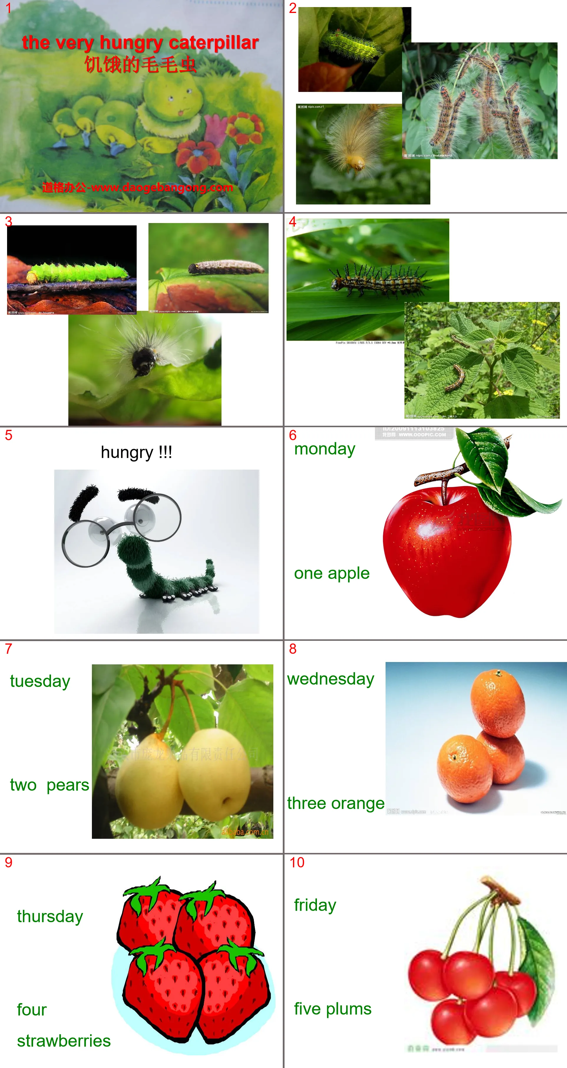 "The Hungry Caterpillar" PPT courseware