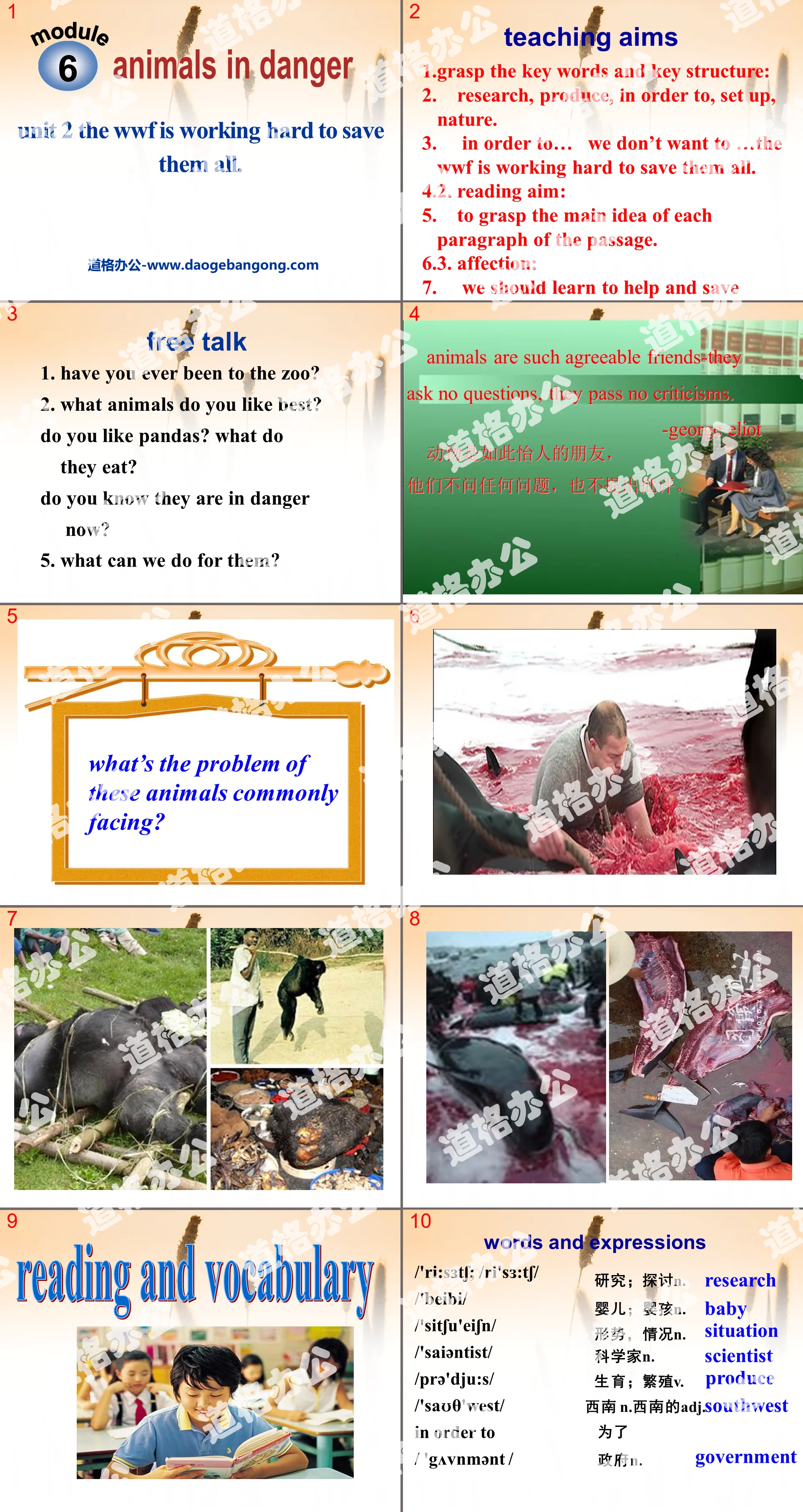 "The WWF is working hard to save them all" Animals in danger PPT courseware 3