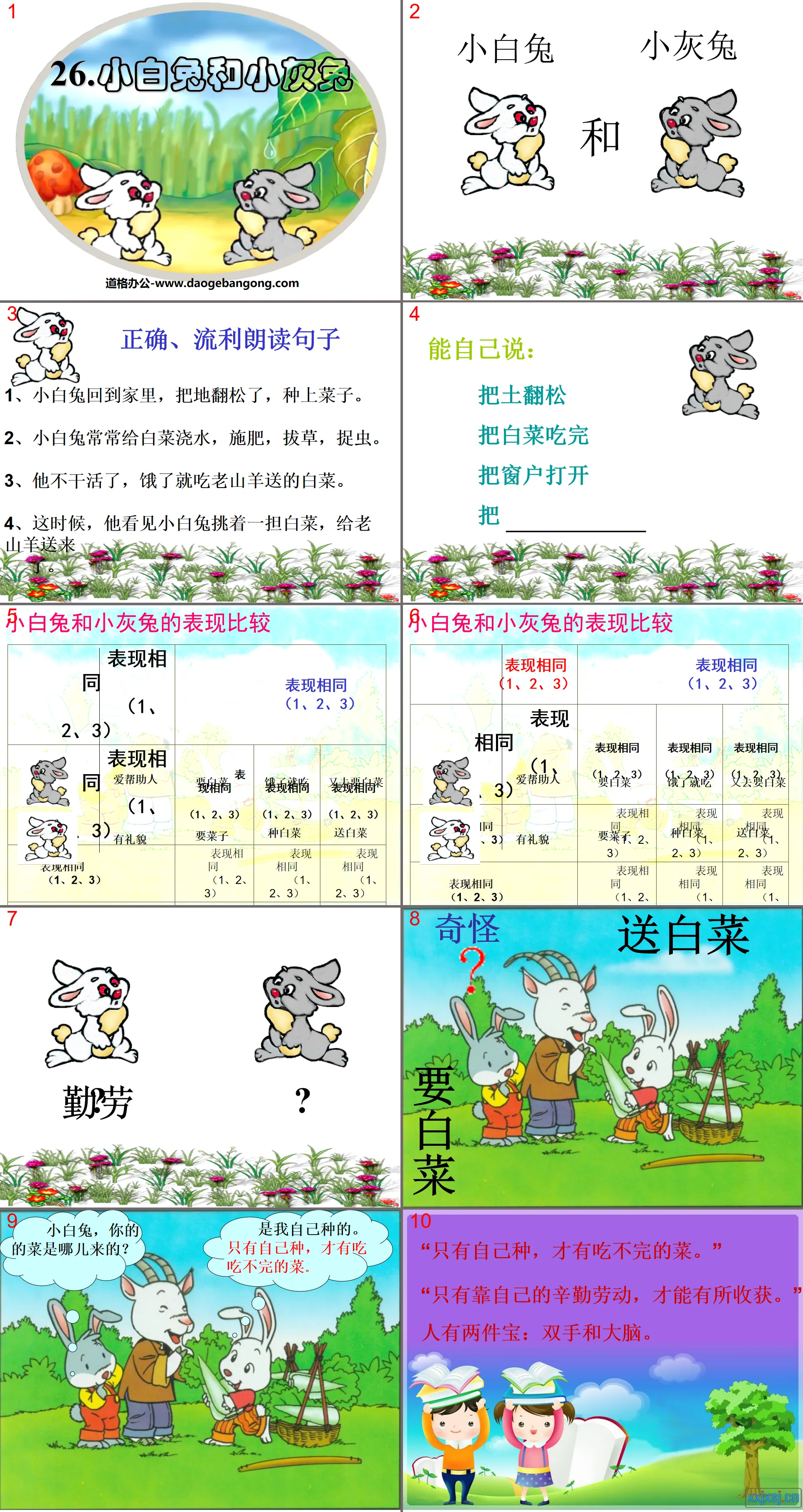 《小白兔與小灰兔》PPT課件7