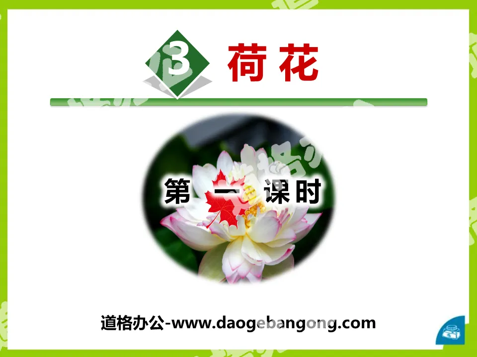 《荷花》PPT(第一课时)