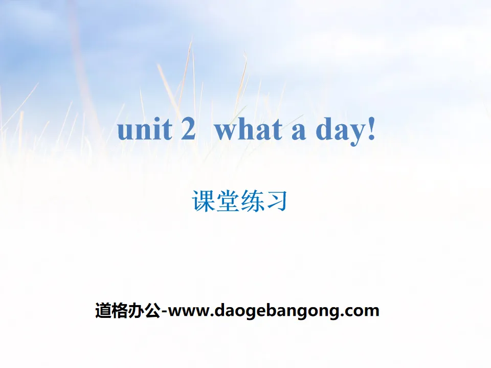 《What a day!》课堂练习PPT
