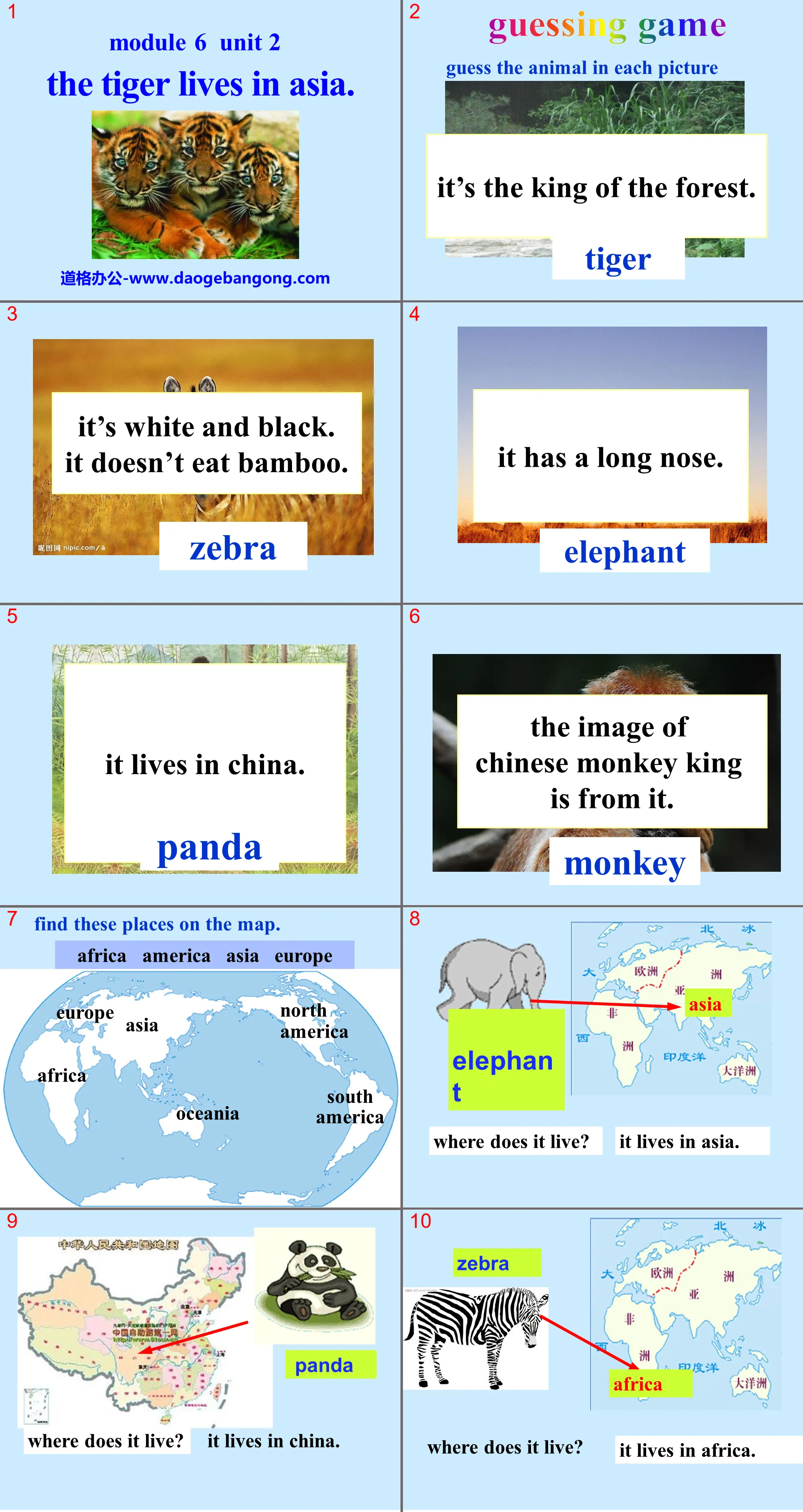 "The tiger lives in Asia" PPT courseware 2