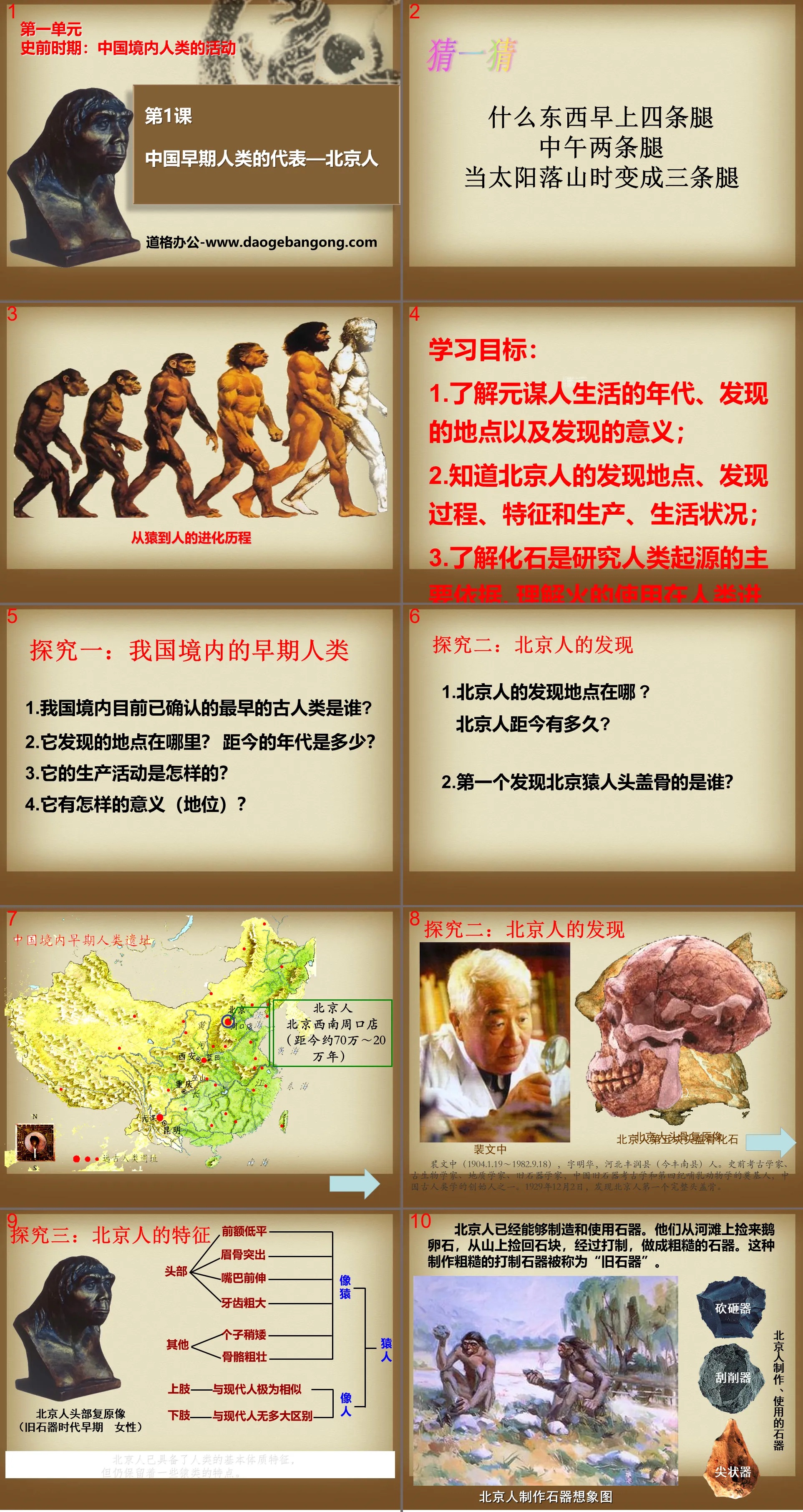 "Representative of Early Humans in China—Peking Man" PPT