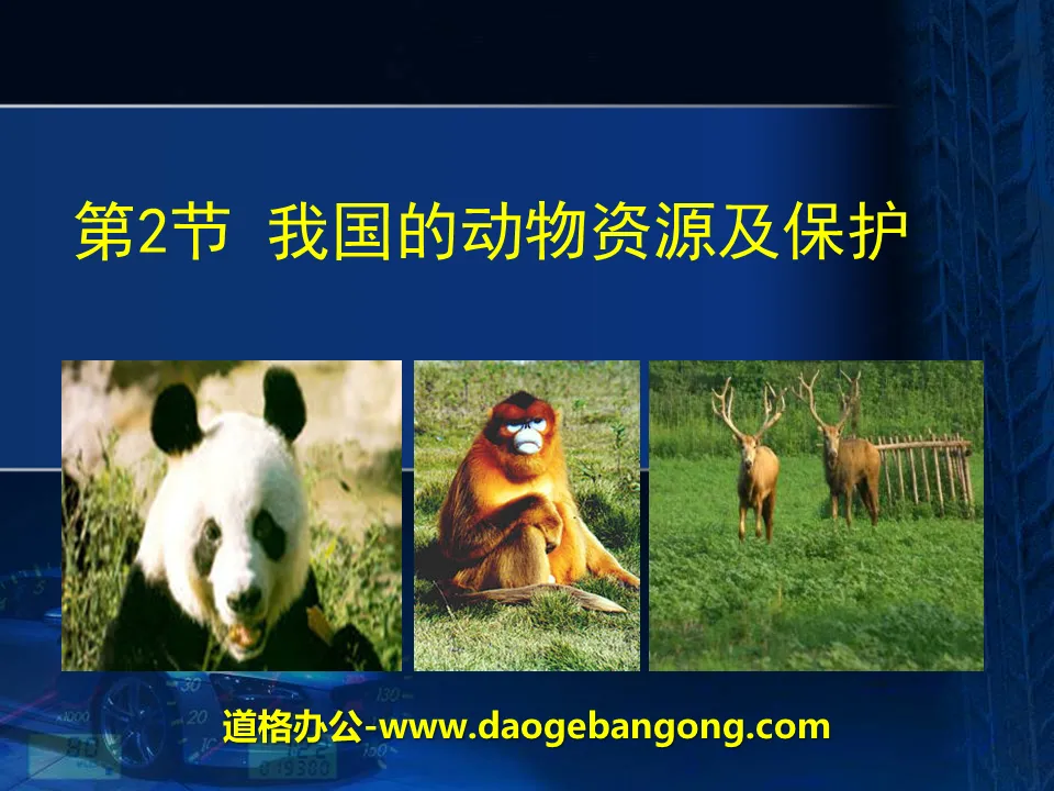 "Animal Resources and Protection in my country" PPT courseware