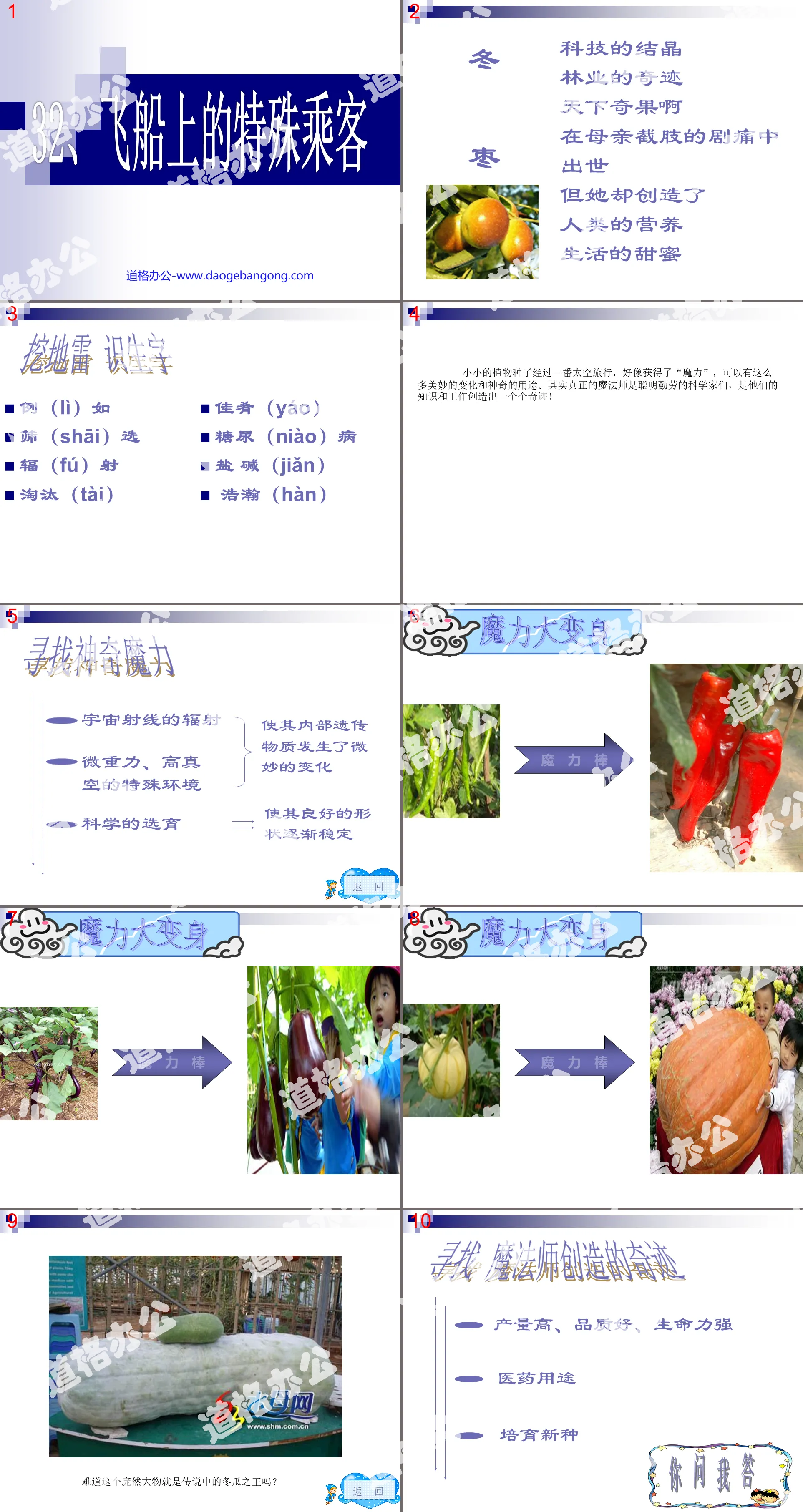 《太空船上的特殊乘客》PPT課程下載2