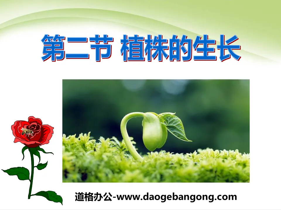 "The Growth of Plants" Life of Angiosperms PPT Courseware 6
