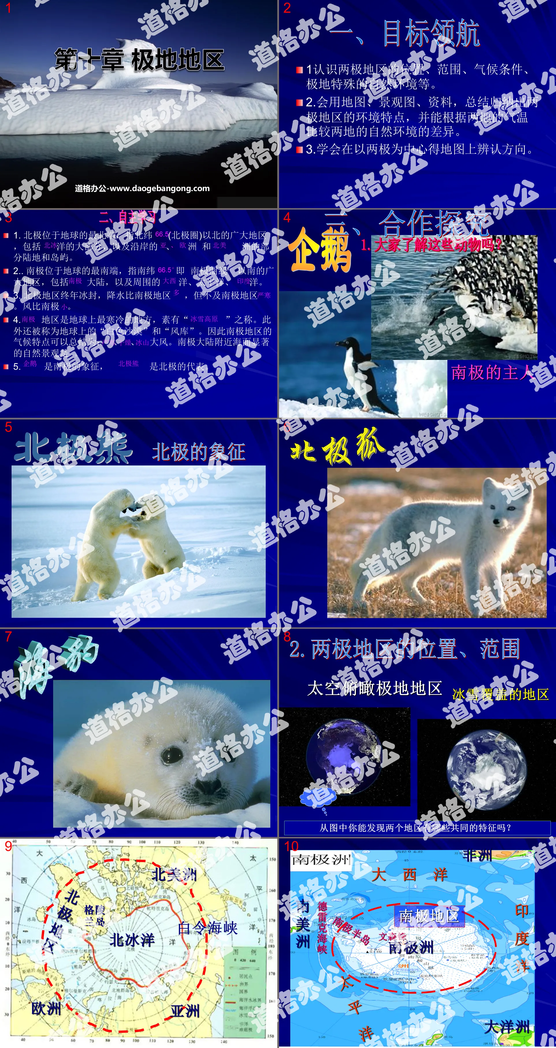 "Polar Regions" PPT courseware 4