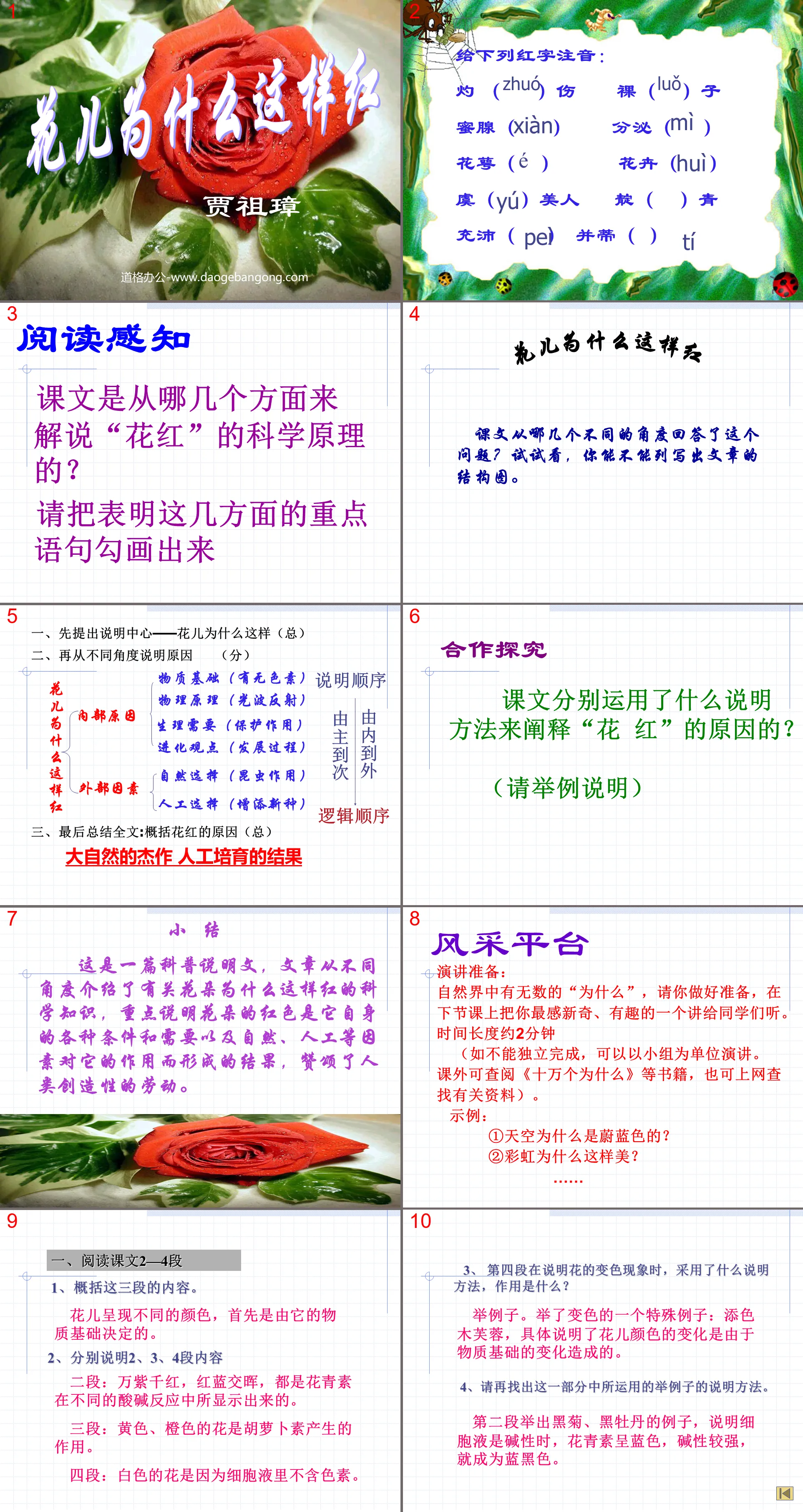 "Why are the flowers so red" PPT courseware 2