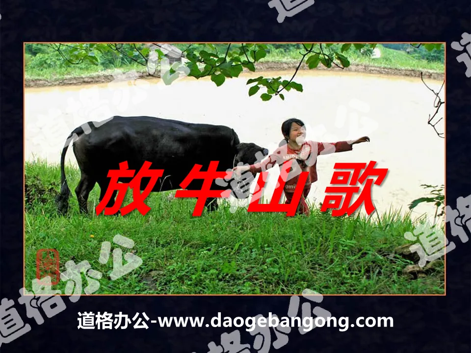 "Cow Herding Folk Song" PPT courseware