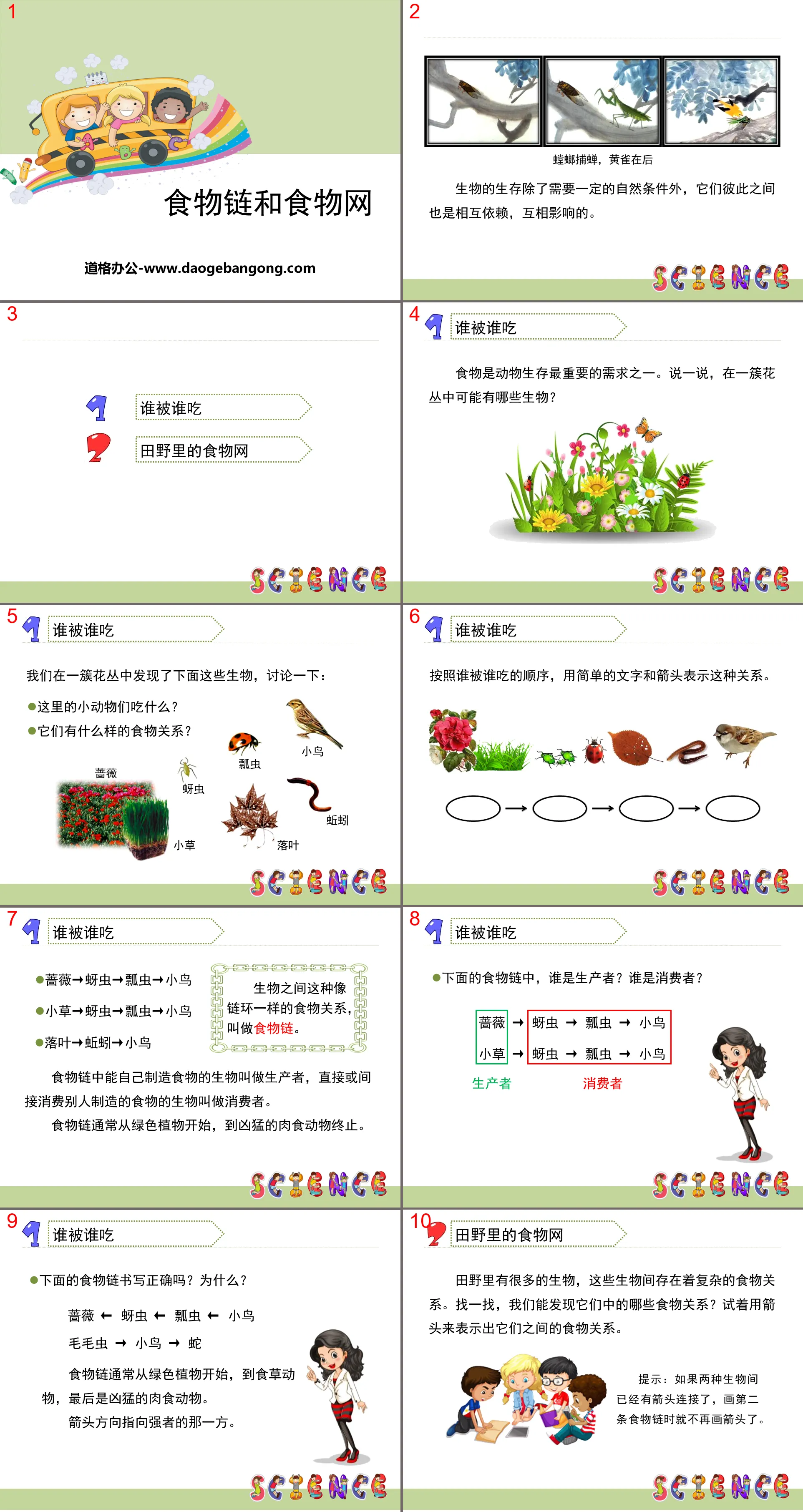 《食物链和食物网》生物与环境PPT下载
