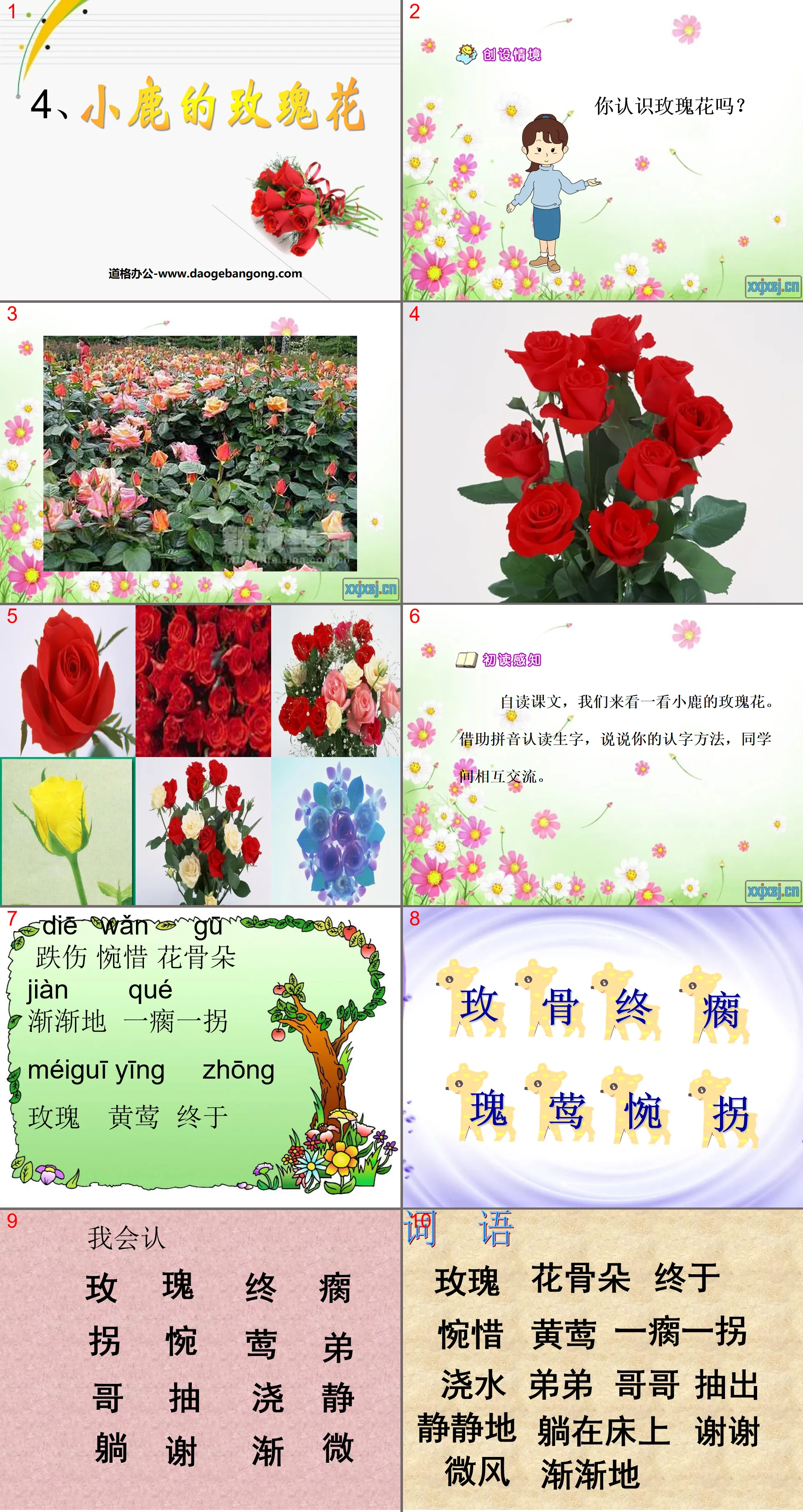 《小鹿的玫瑰花》PPT課件6