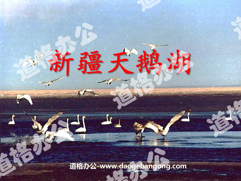 "Xinjiang Swan Lake" PPT courseware 4