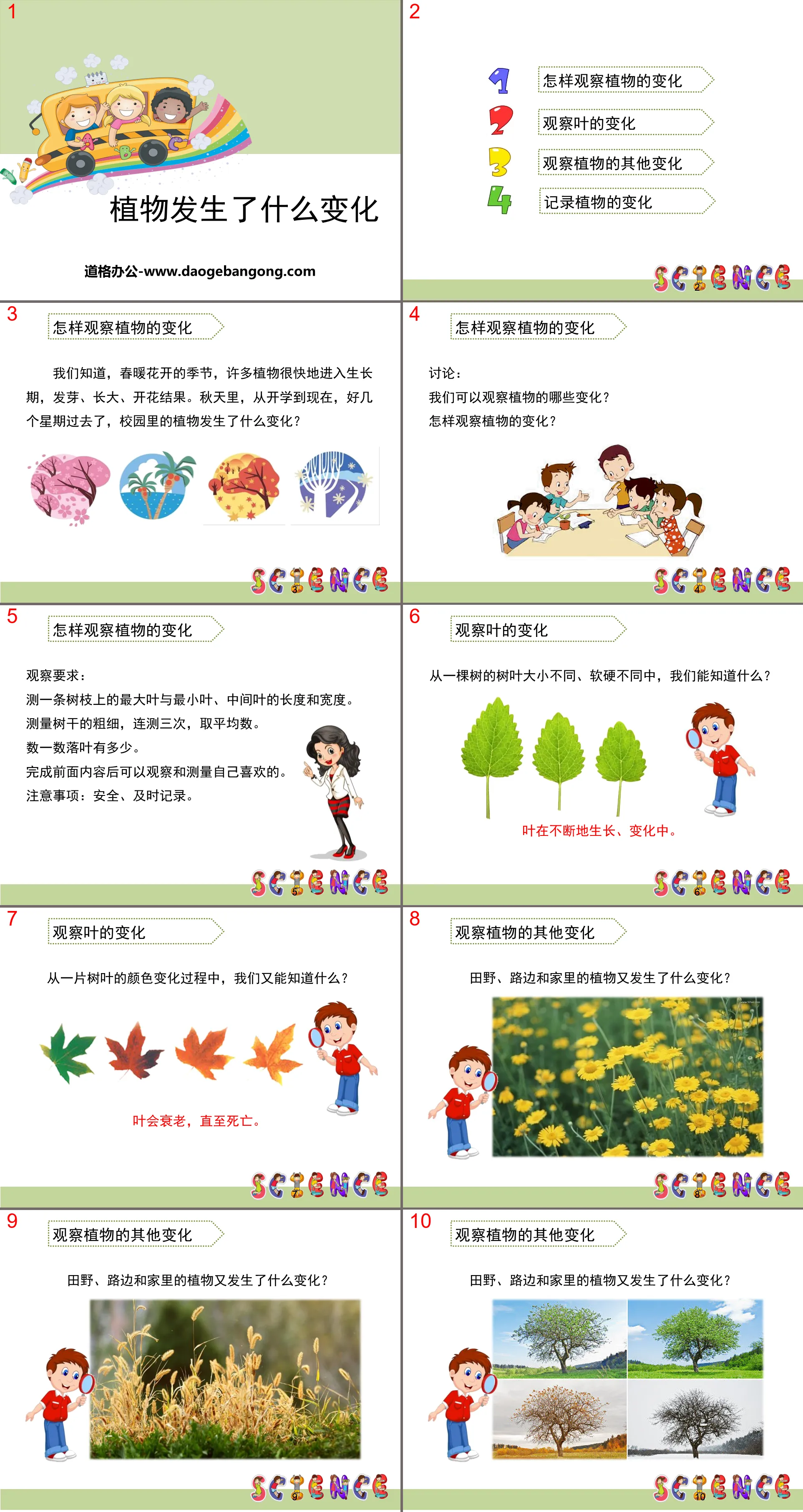 《植物發生了什麼變化》植物PPT