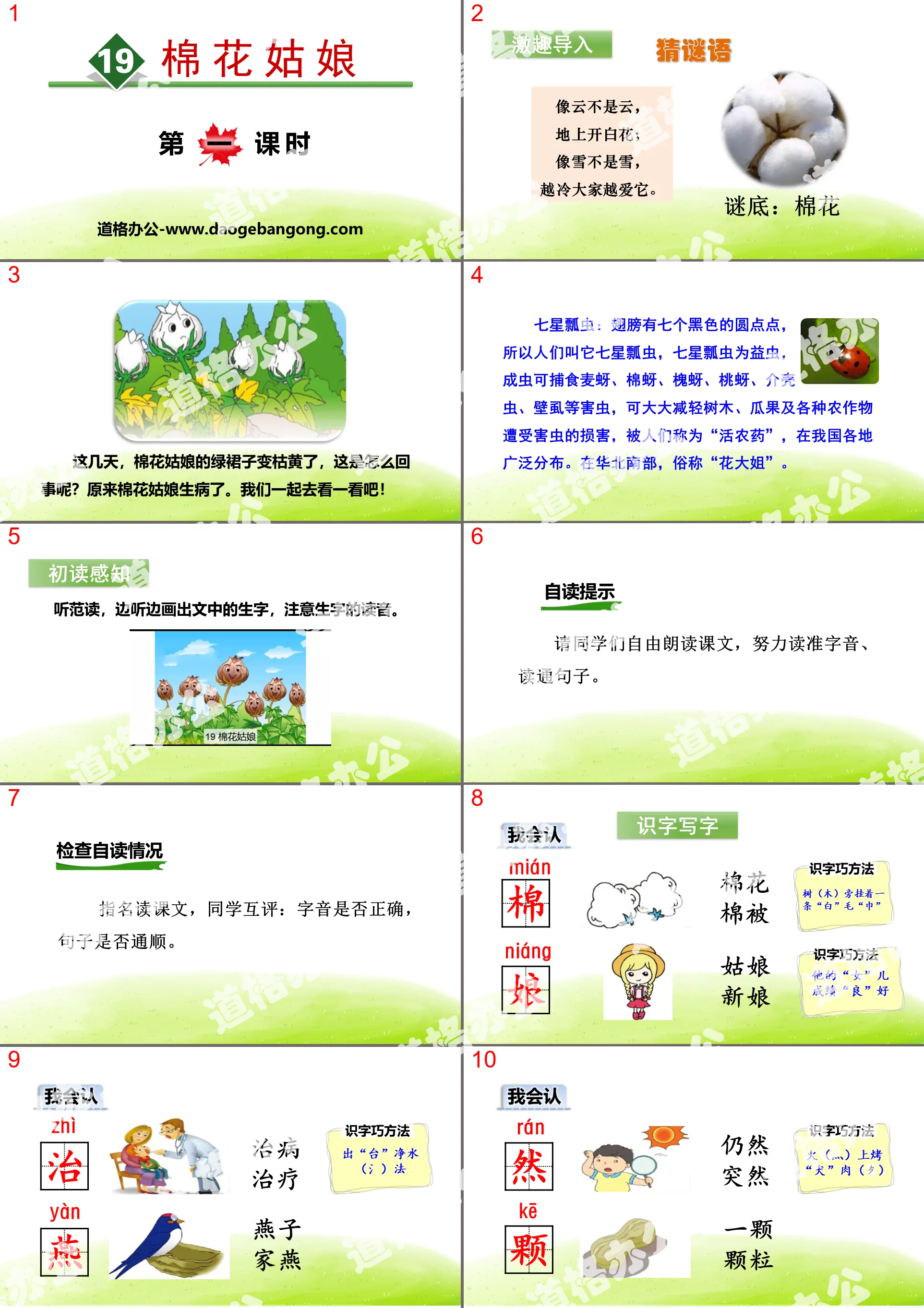 《棉花姑娘》PPT(第一课时)
