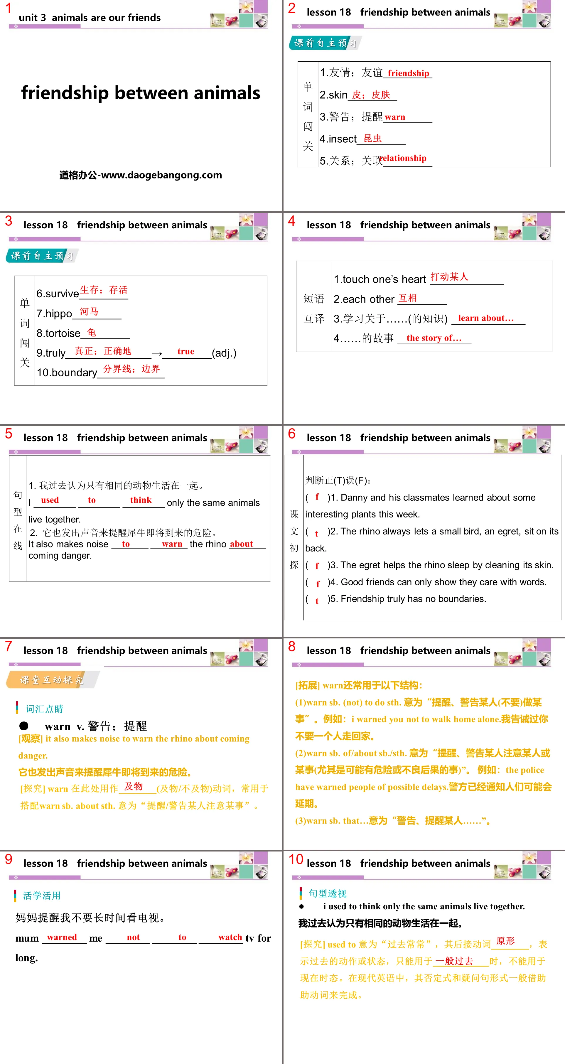 《Friendship Between Animals》Animals Are Our Friends PPT教学课件
