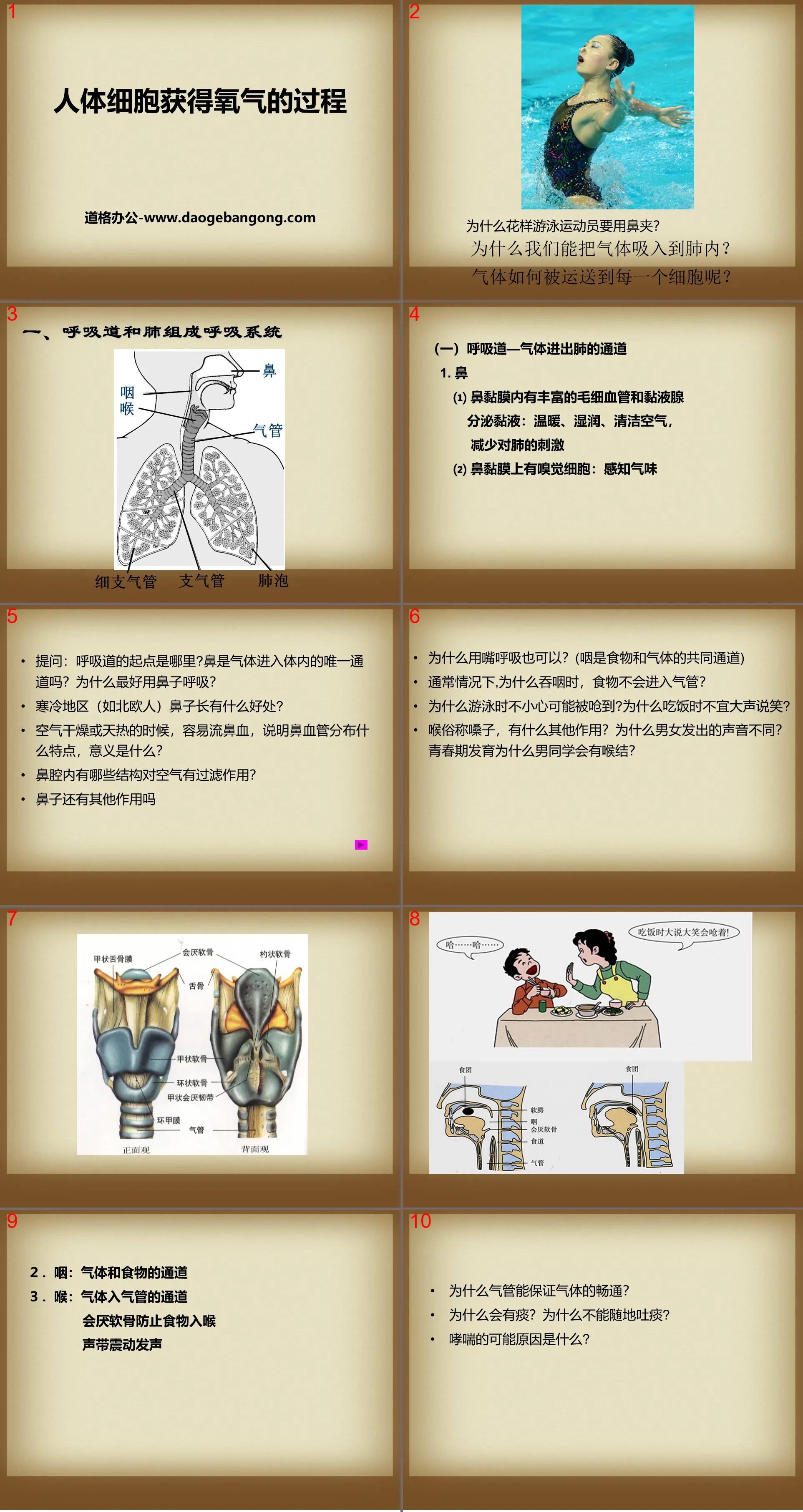 《人体细胞获得氧气的过程》PPT课件
