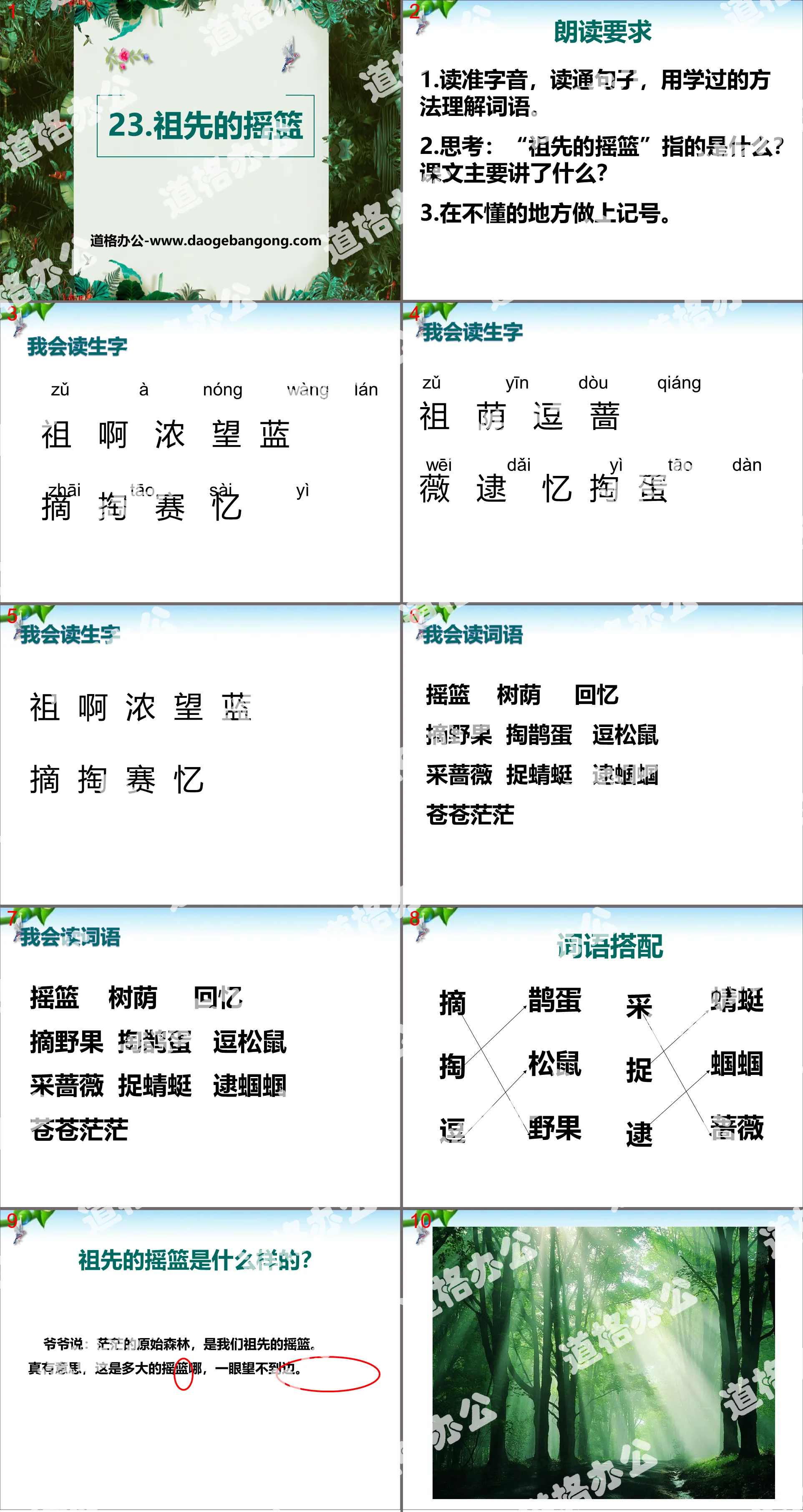 《祖先的摇篮》PPT下载