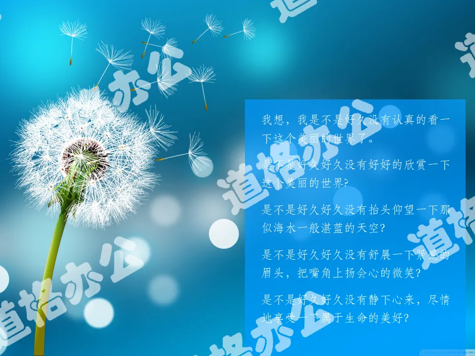 Dreamy beautiful dandelion PPT background picture