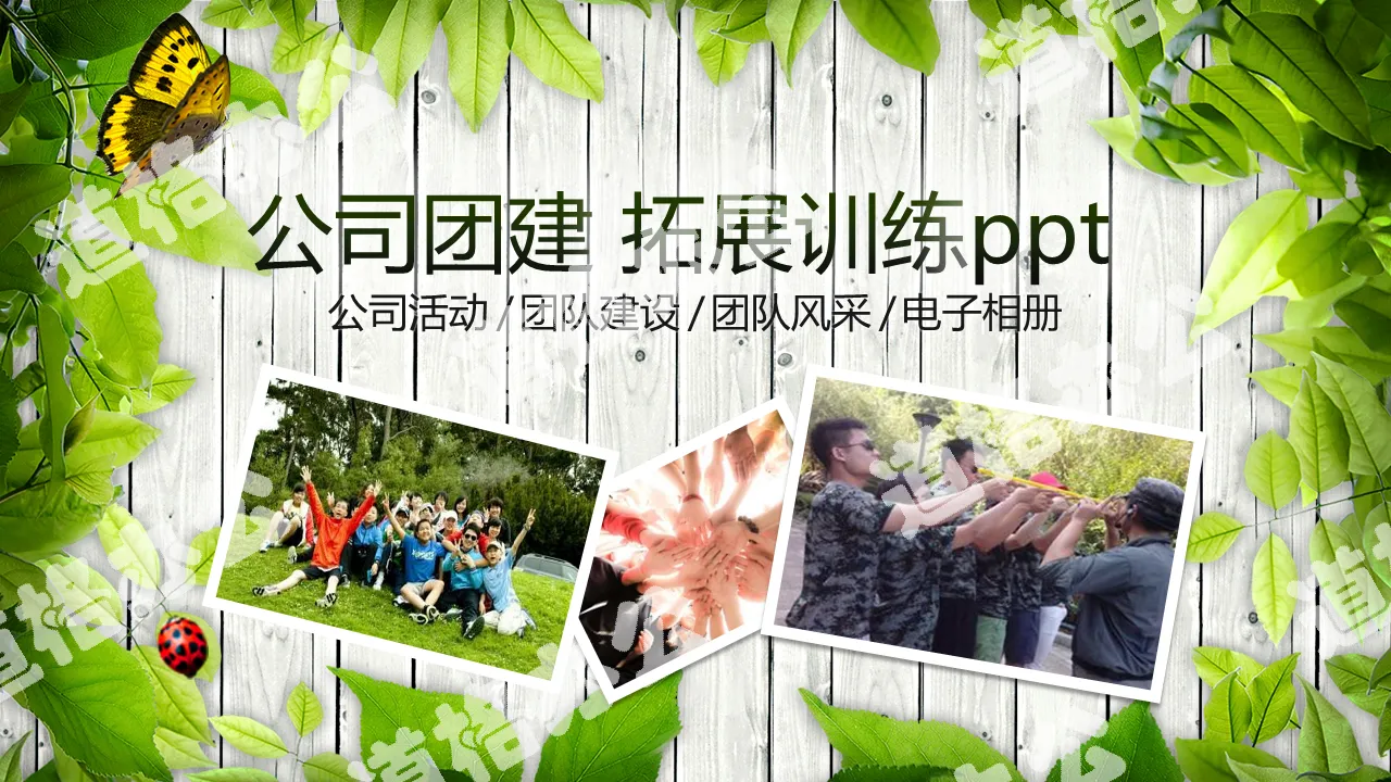 Fresh green nature company team building outreach training company activity electronic photo album PPT template