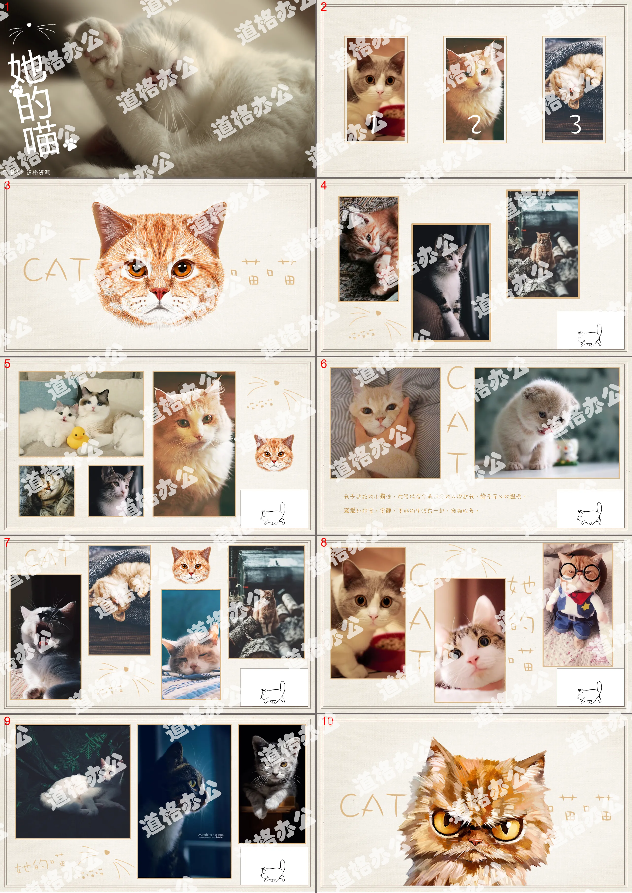 Small fresh and cute kitten photo album PPT template