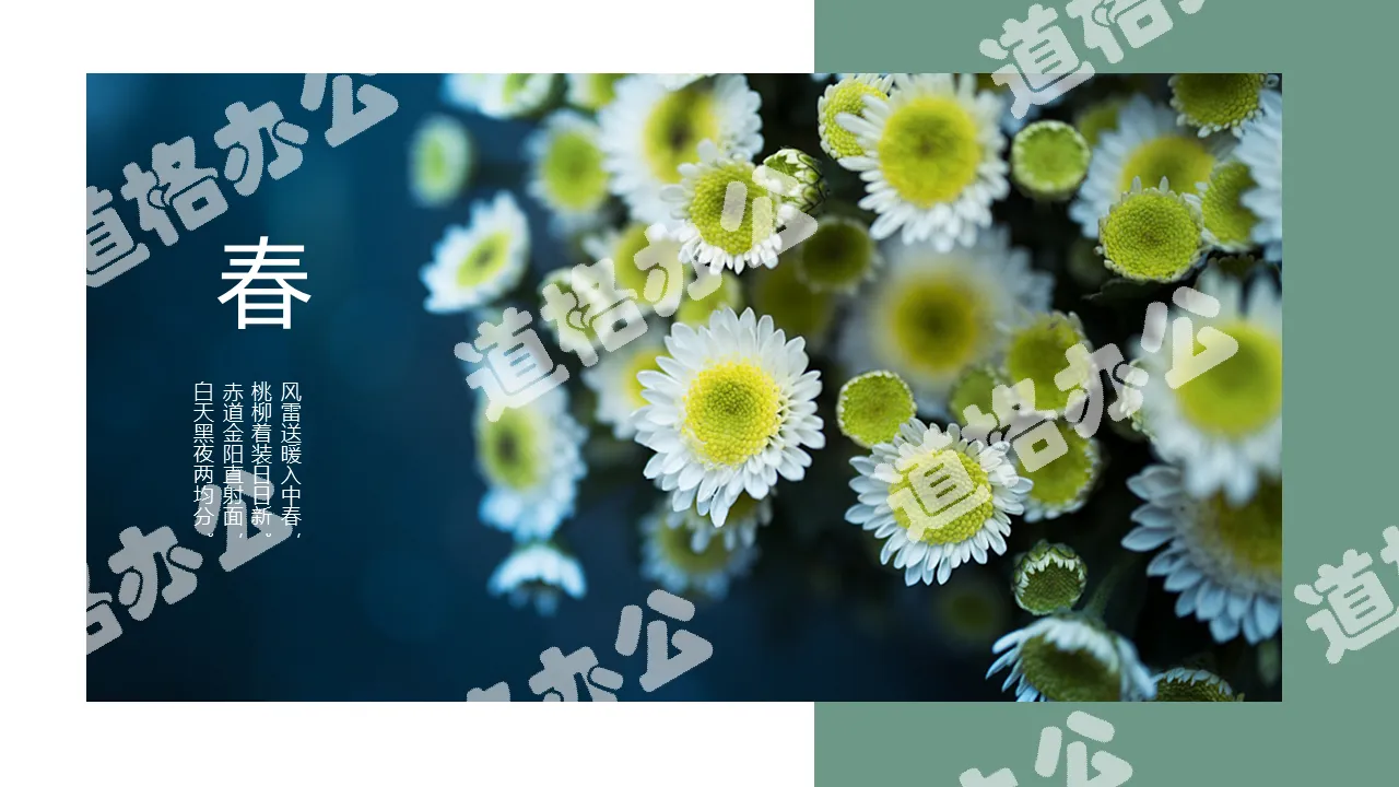 Green small fresh spring outing travel album PPT template