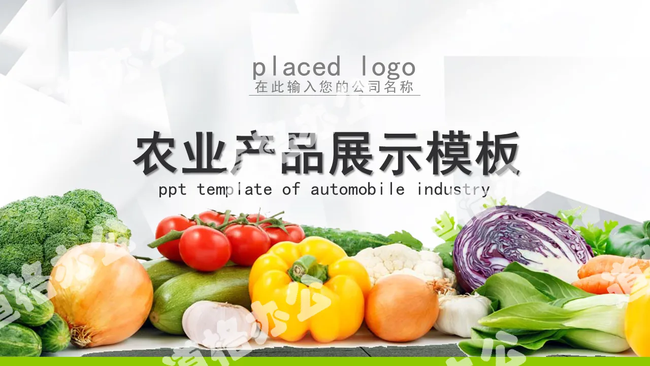 Green ecological agriculture fruits and vegetables agricultural products ppt template