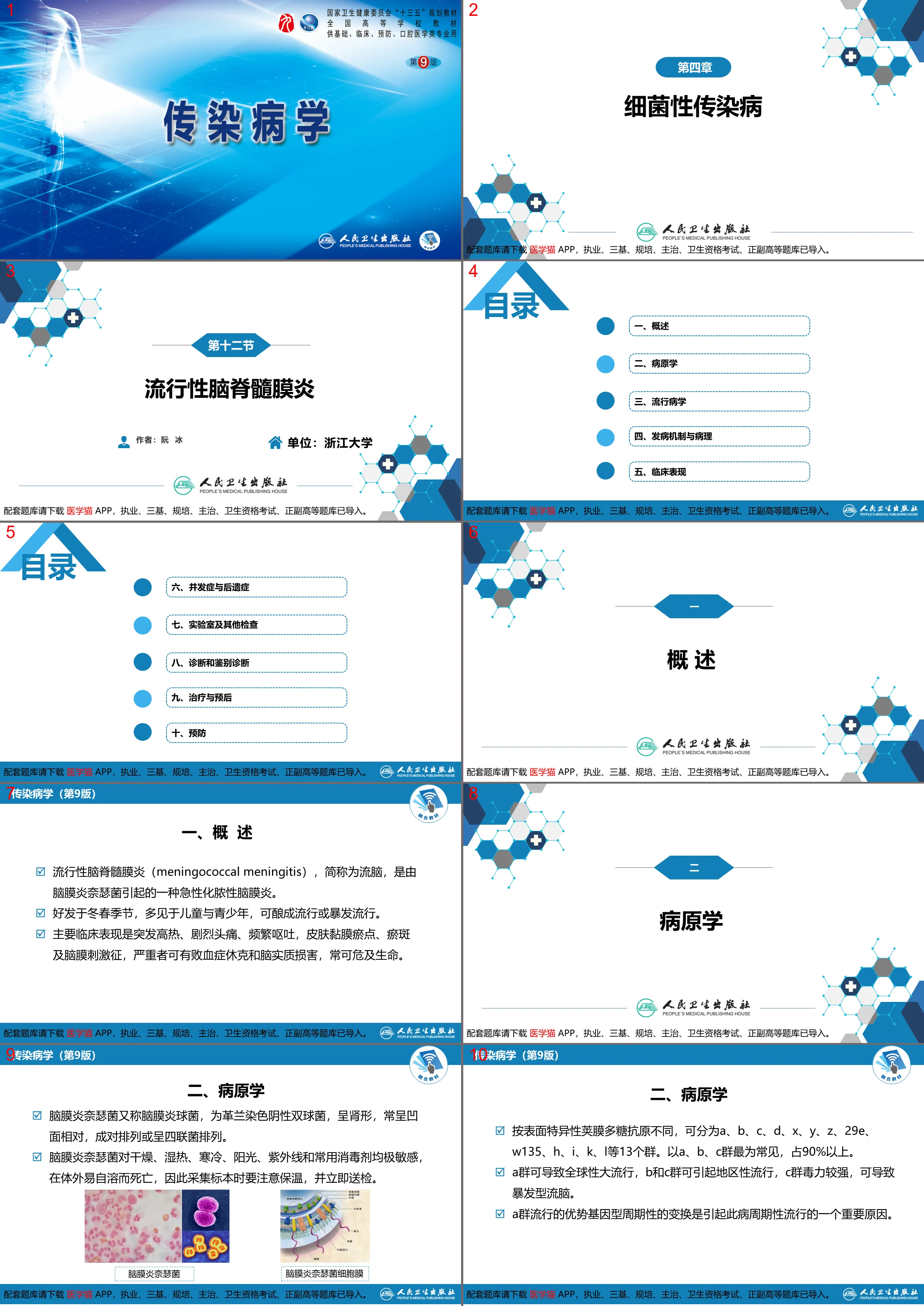 第四章 细菌性传染病 第十二节 流行性脑脊髓膜炎