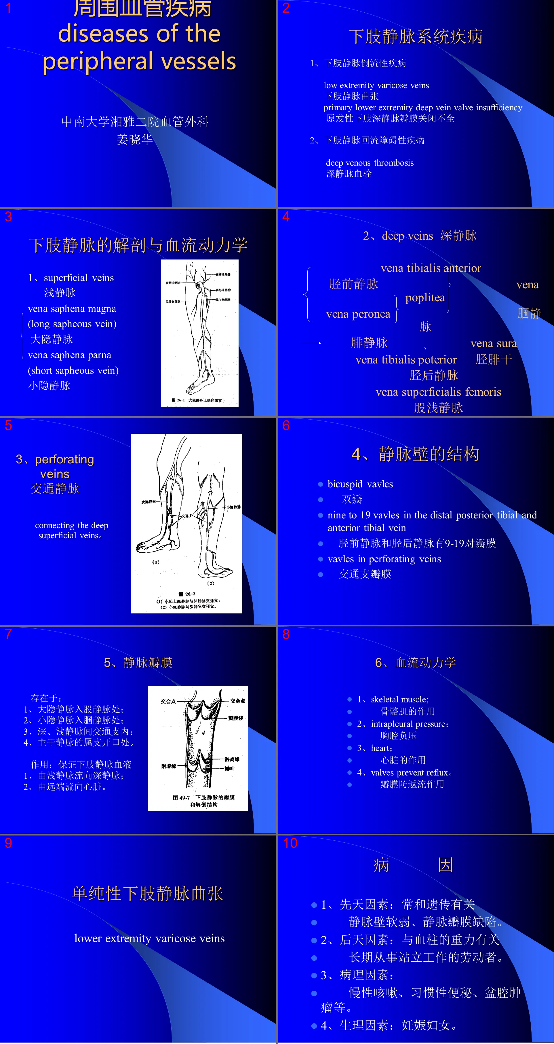 156周围血管与淋巴管疾病test