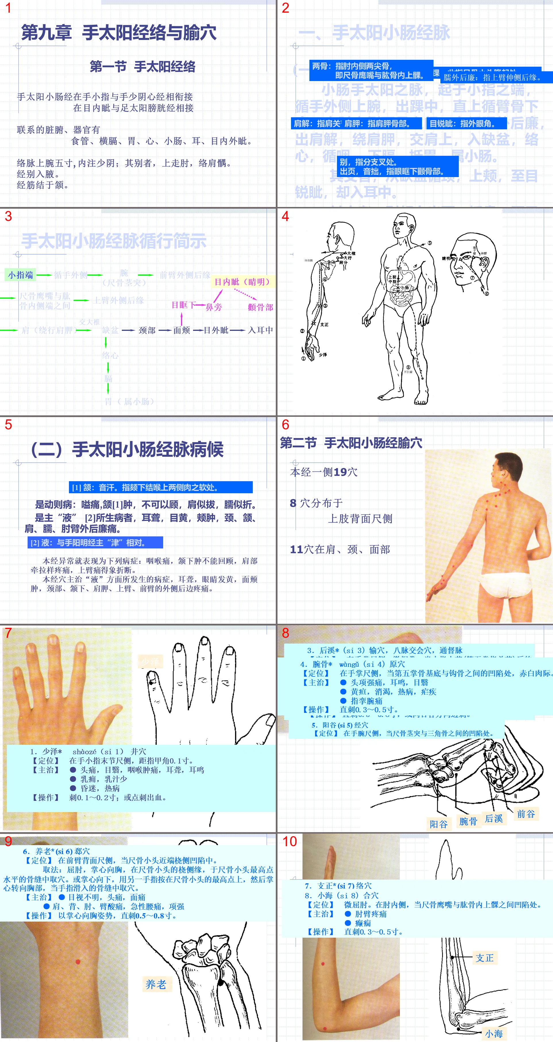 83 Human Meridian Acupoint Atlas 6 Small Intestine Meridian