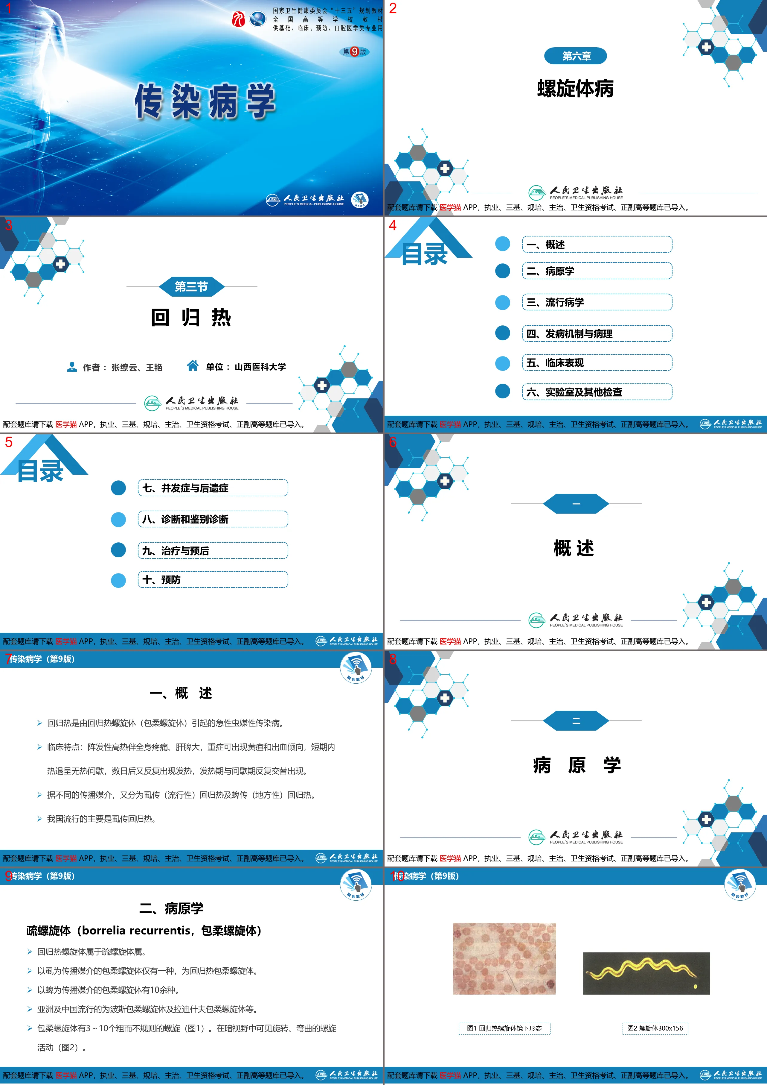 第六章 螺旋体病 第三节 回归热