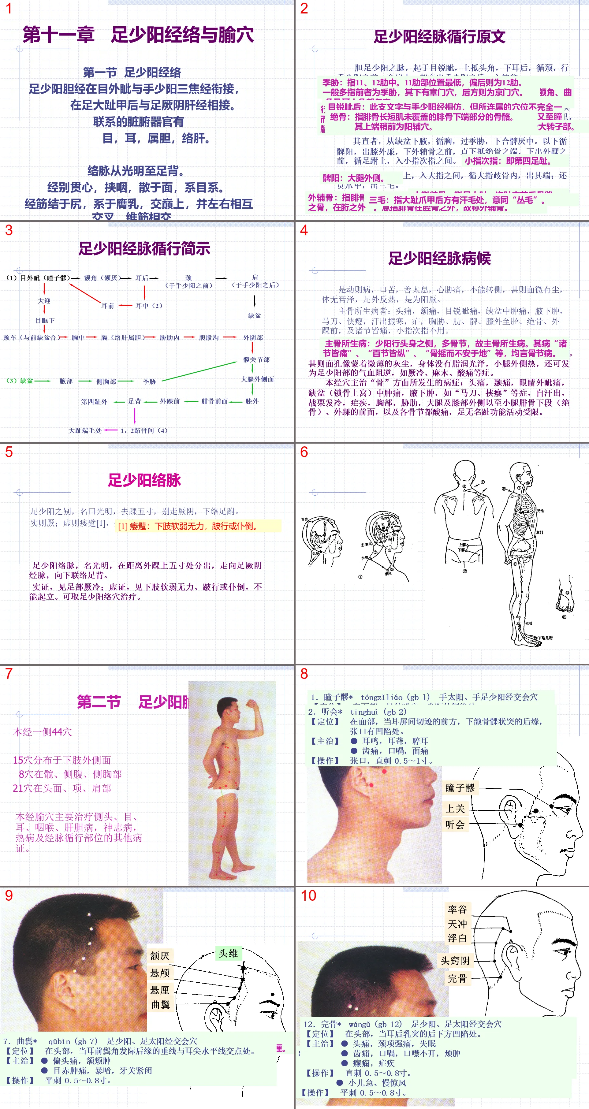 88人體經絡穴位圖譜11膽經