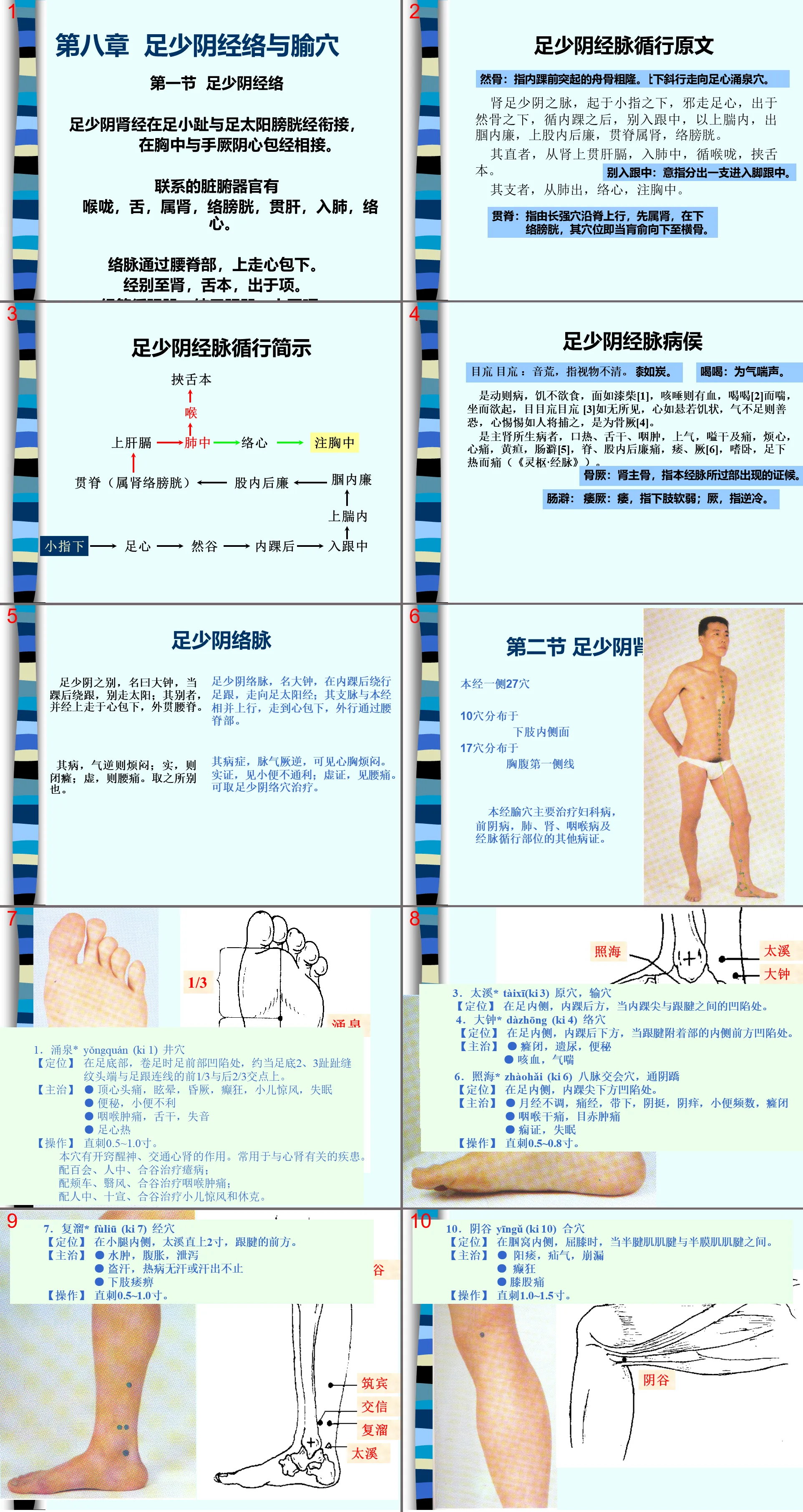 85人體經絡穴位圖譜8腎經