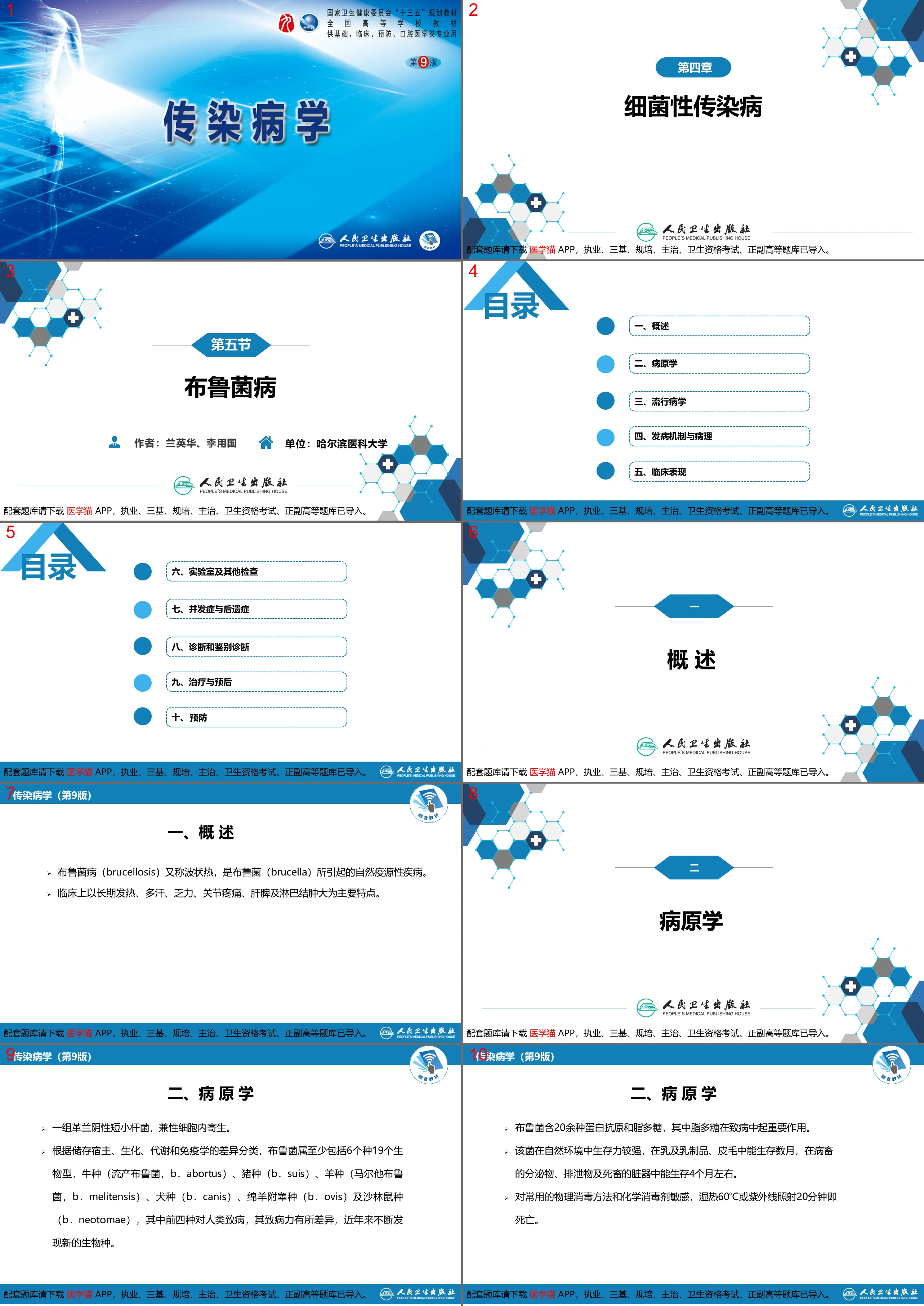 第四章 细菌性传染病 第六节 布鲁菌病